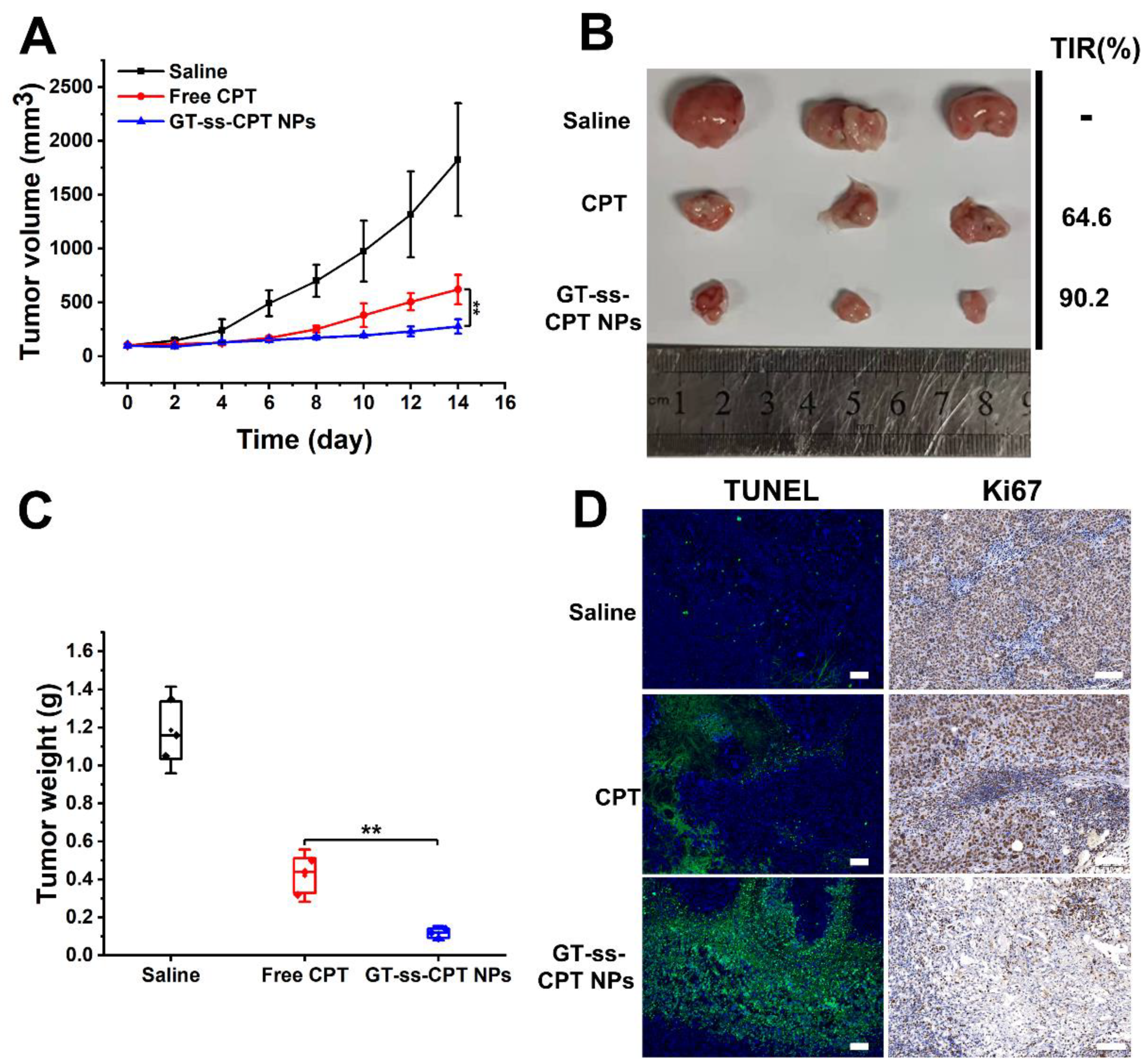 Pharmaceutics 14 01315 g006