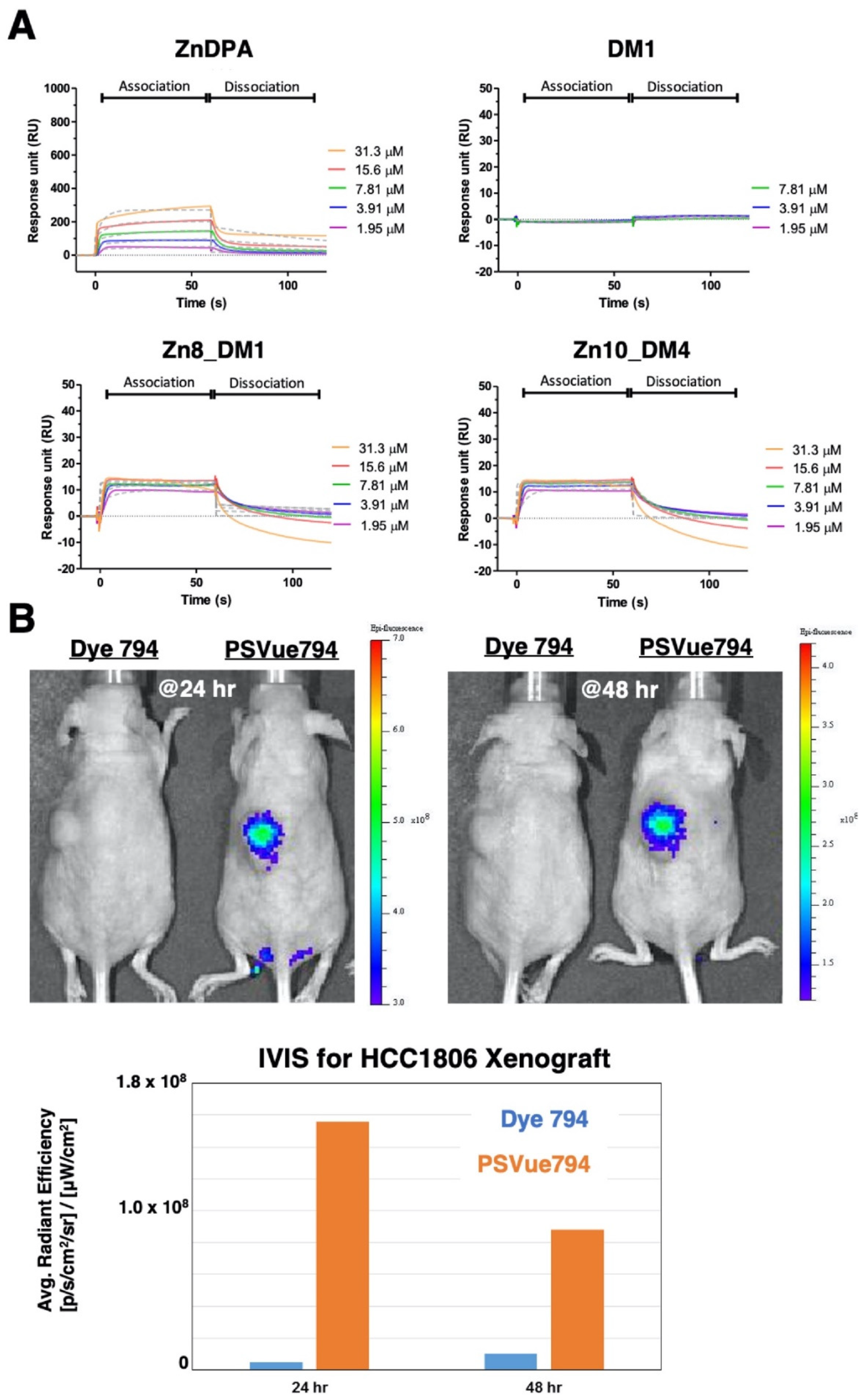 Pharmaceutics 14 01316 g002 550