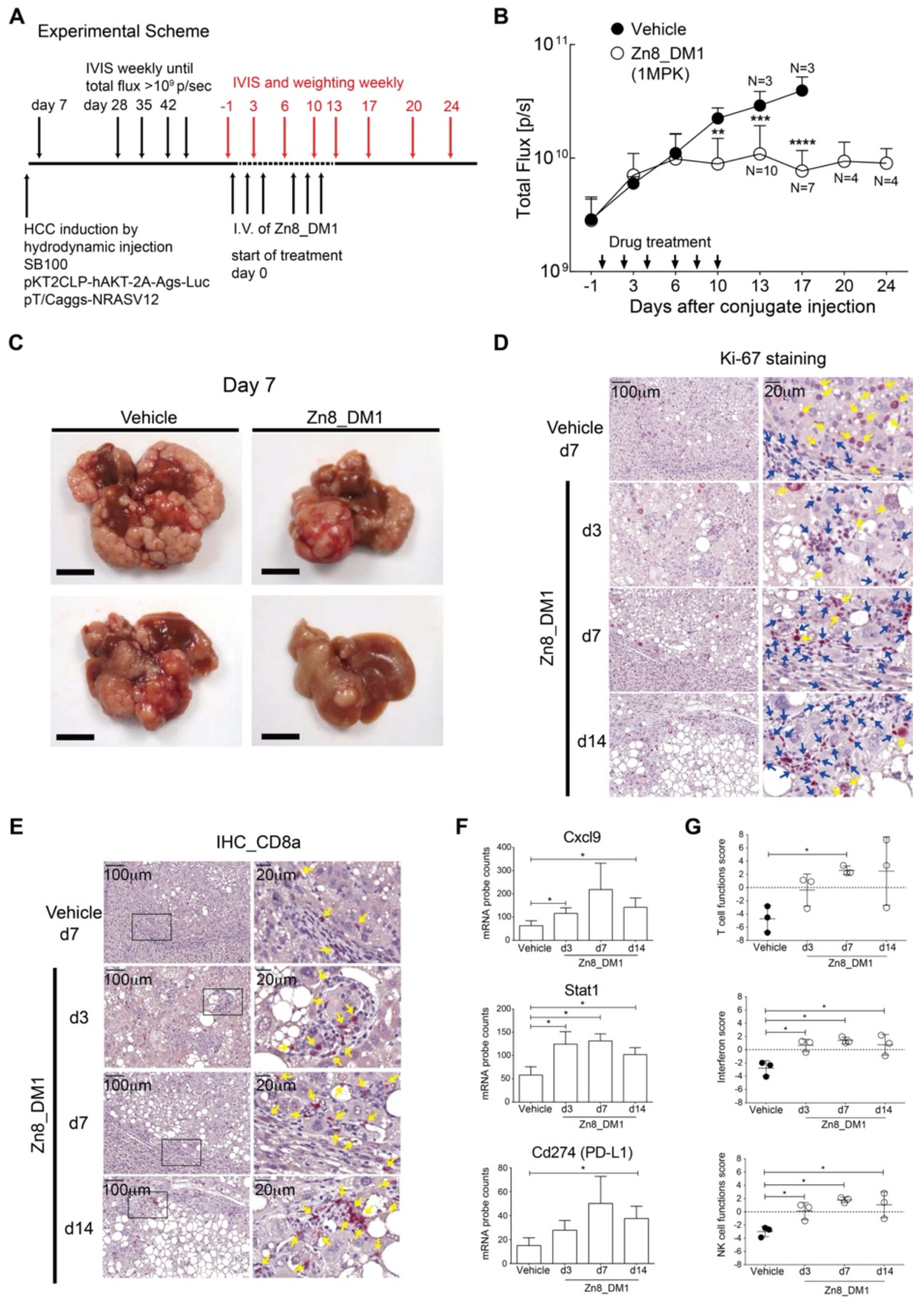 Pharmaceutics 14 01316 g004 550