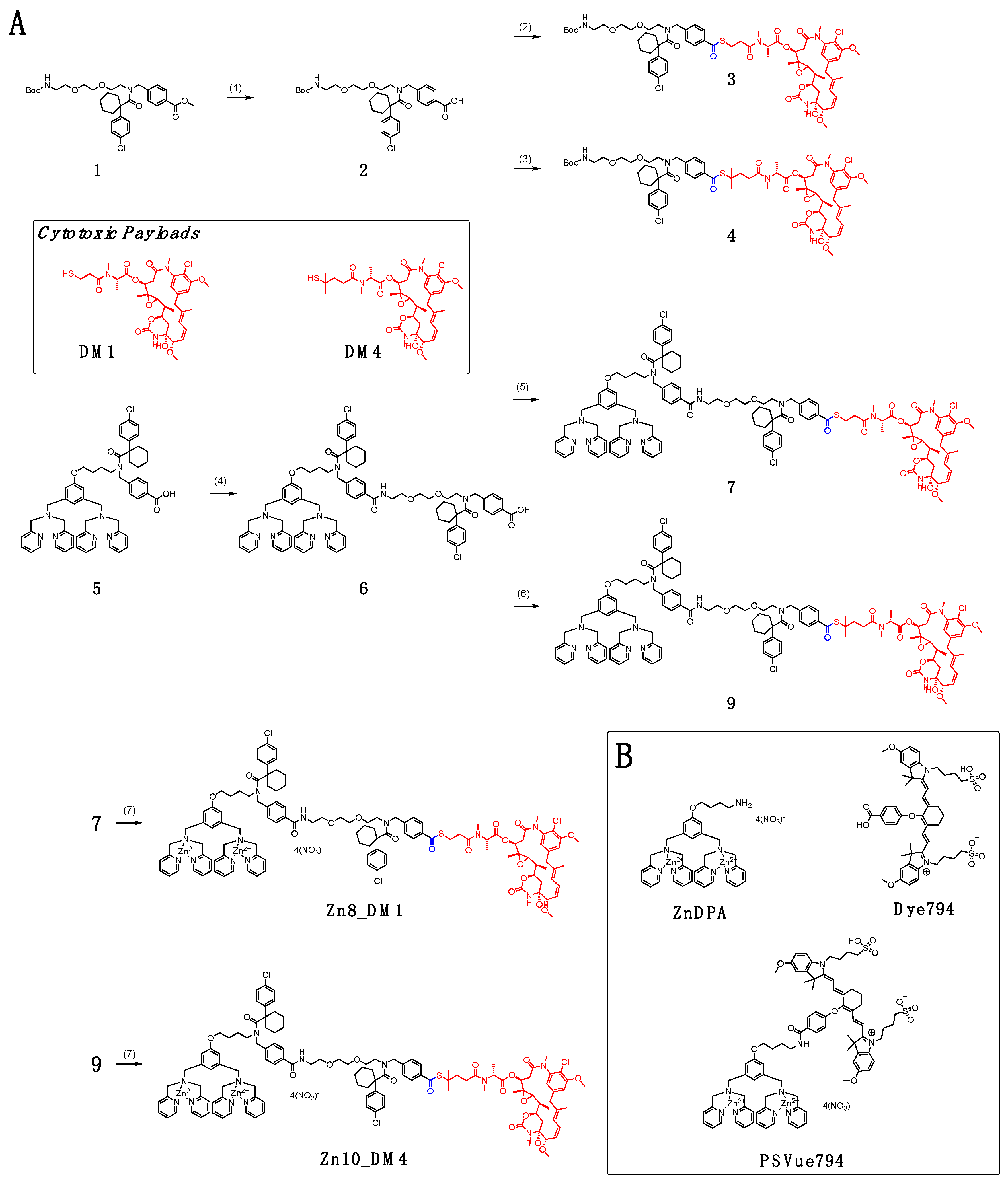 Pharmaceutics 14 01316 sch001 550