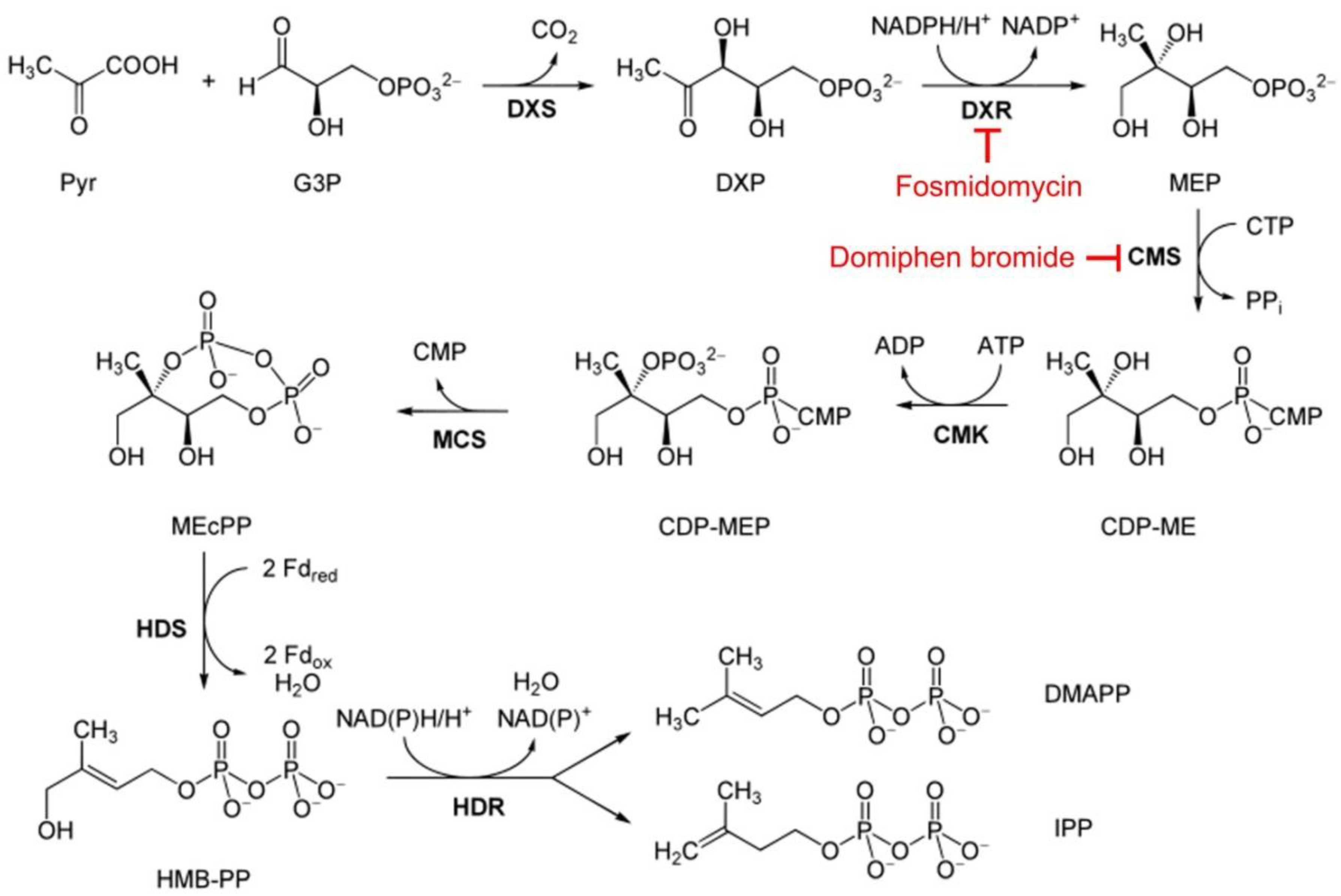 Pharmaceutics 14 01320 g001