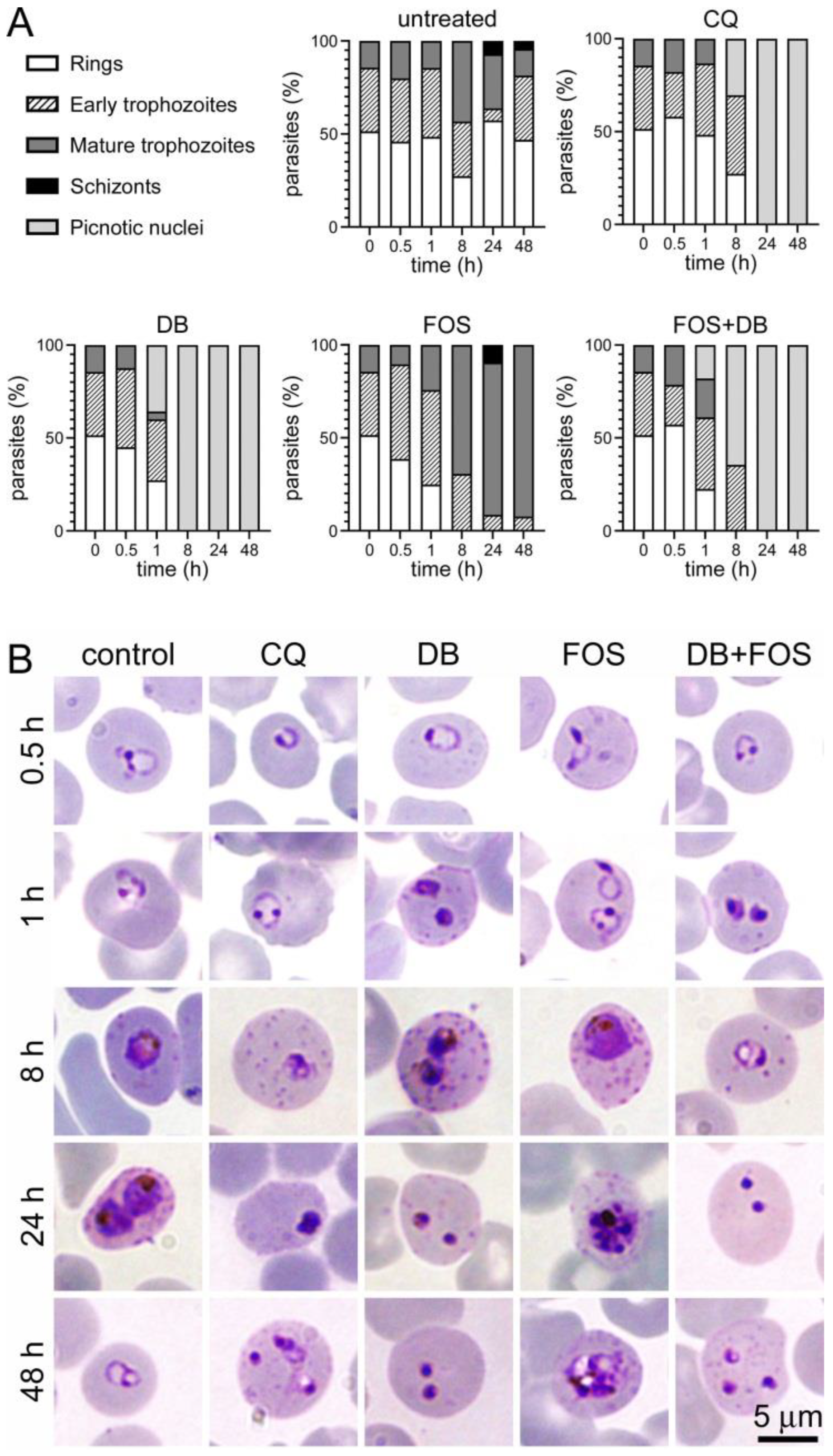 Pharmaceutics 14 01320 g003