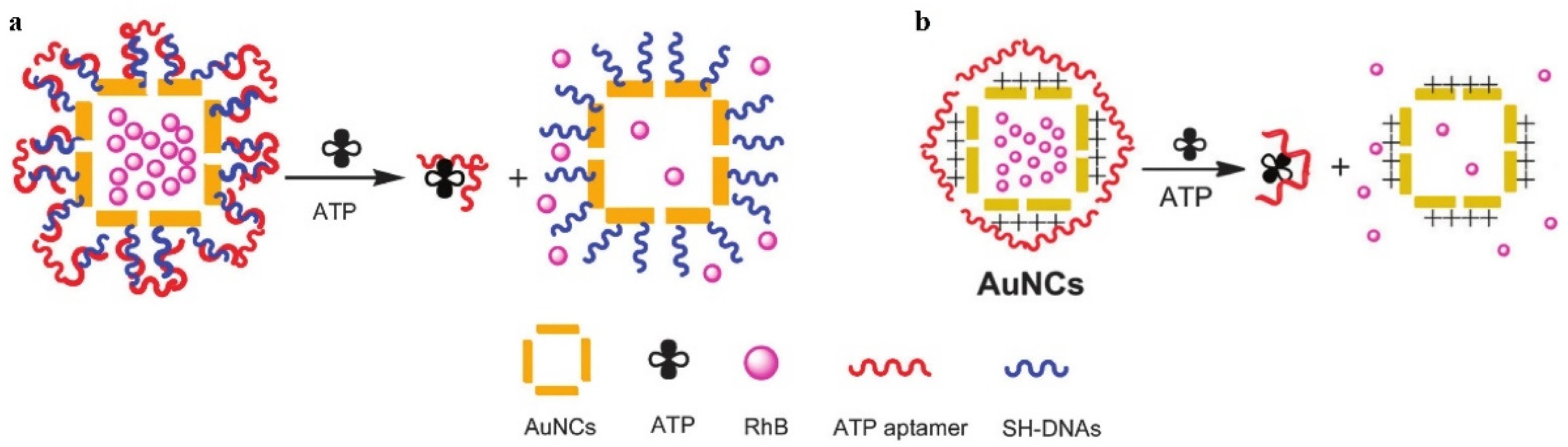 Pharmaceutics 14 01321 g002 550