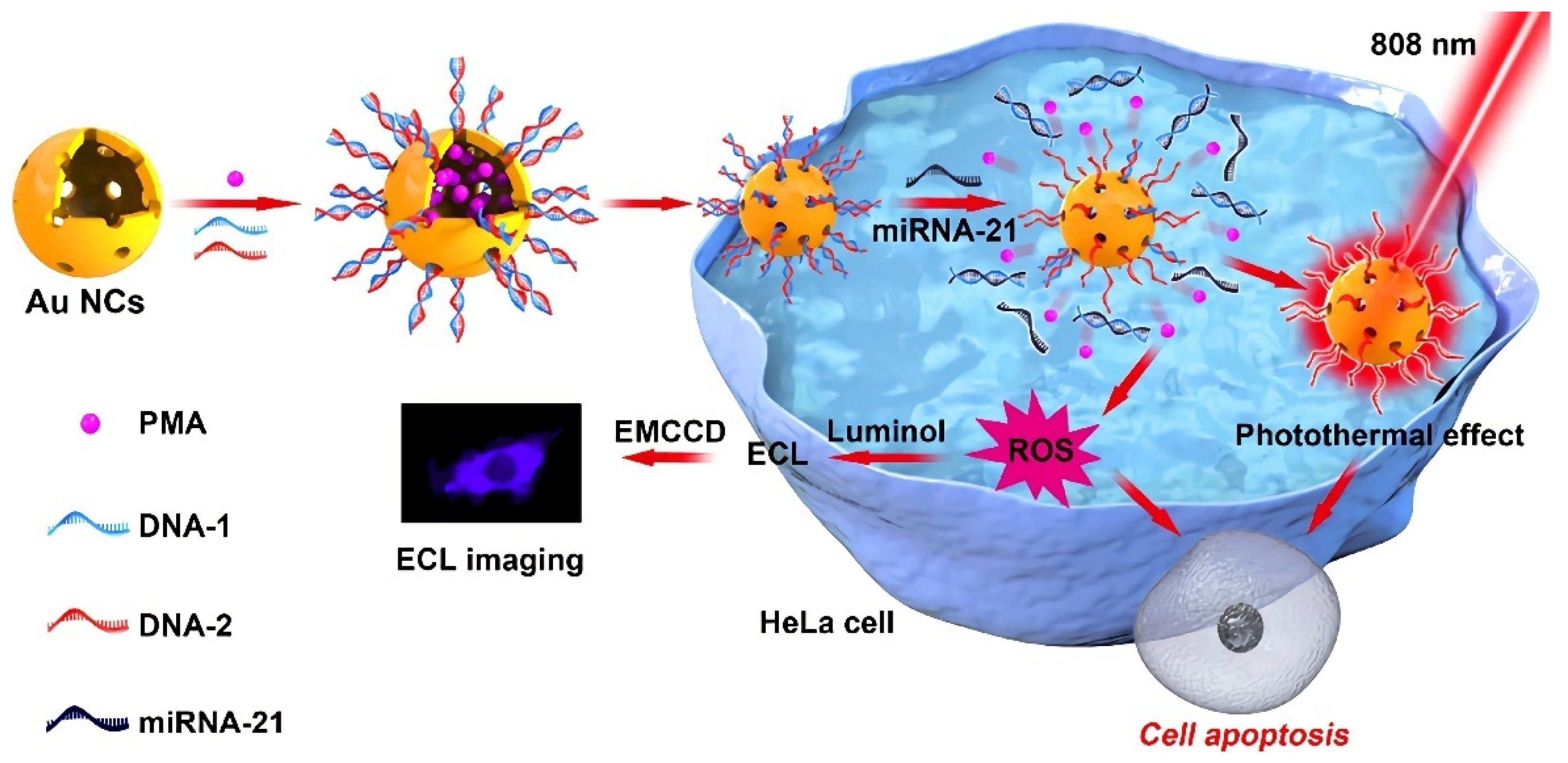 Pharmaceutics 14 01321 g003 550