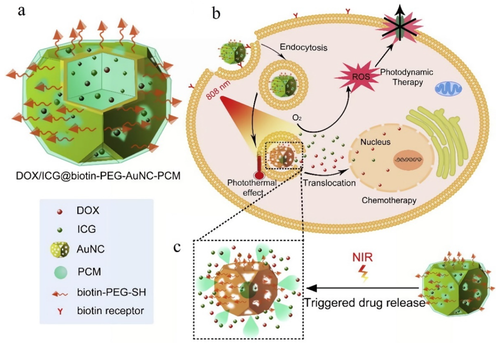 Pharmaceutics 14 01321 g005 550