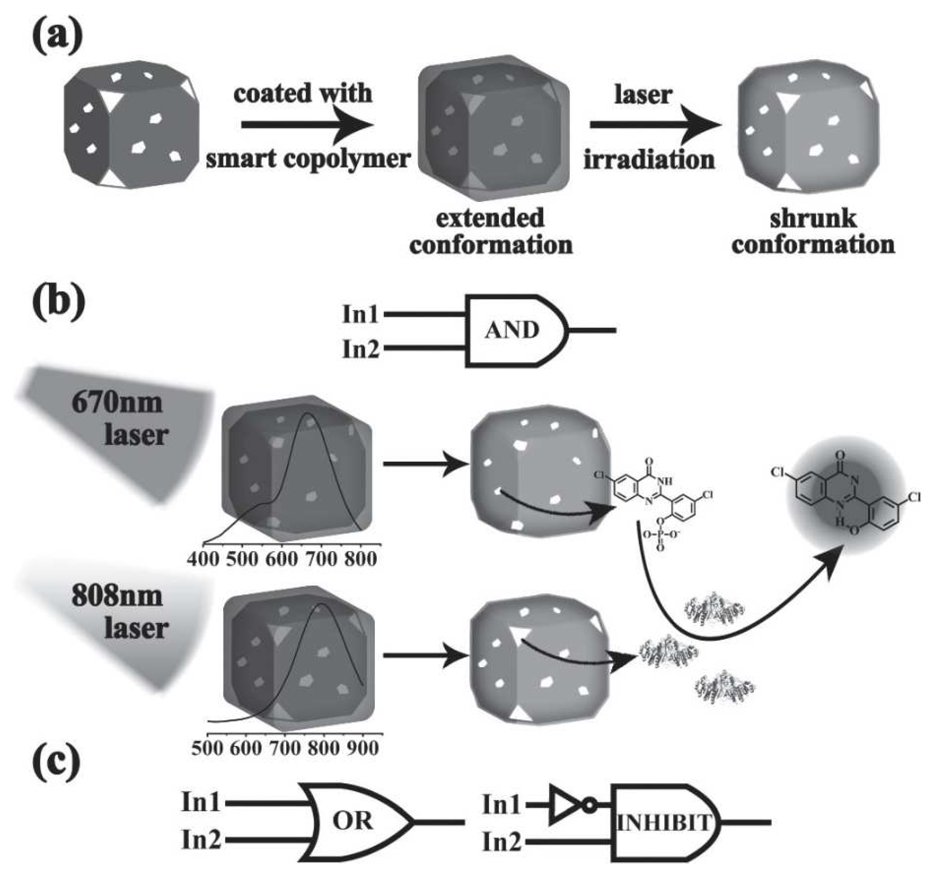 Pharmaceutics 14 01321 g010 550