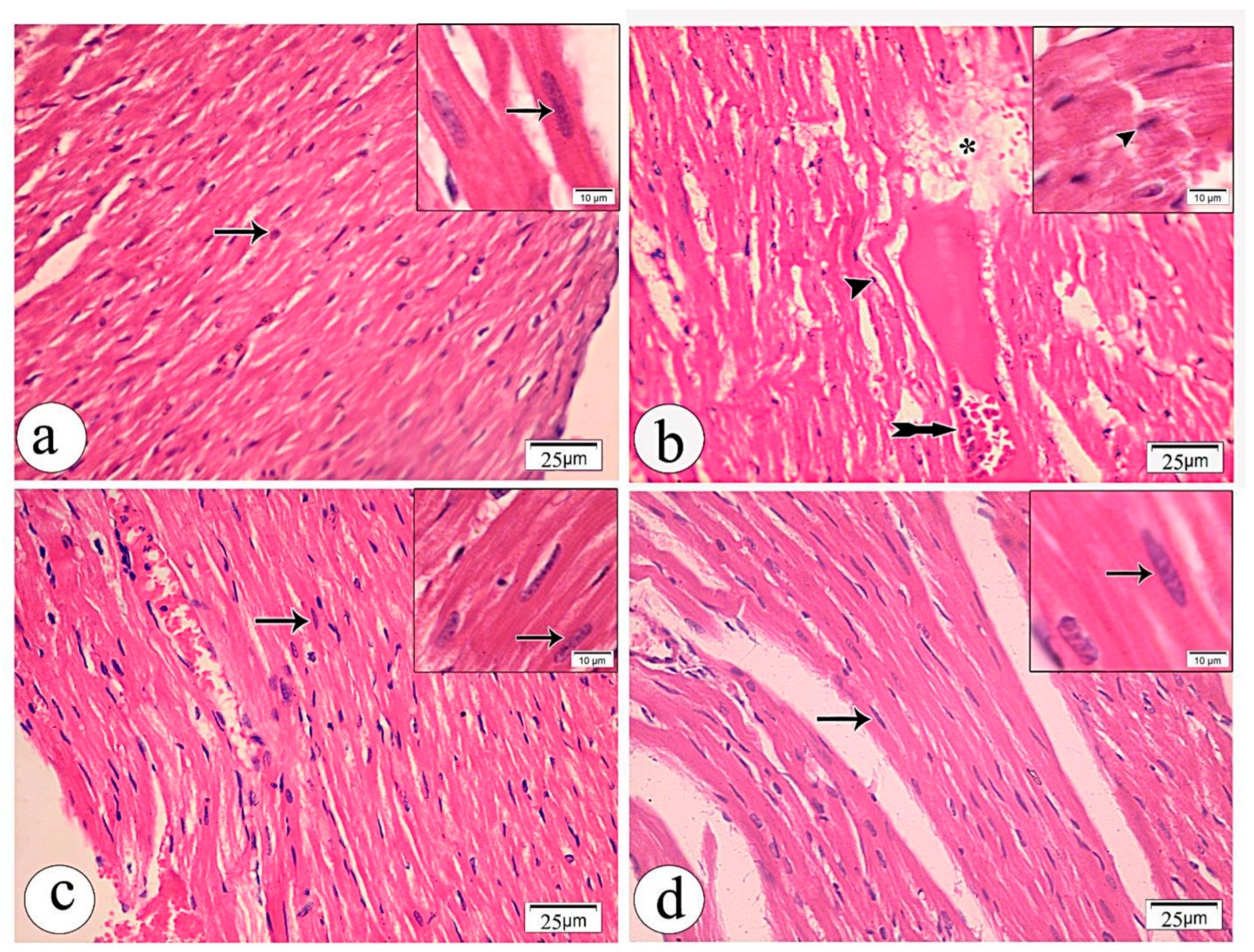 Pharmaceutics 14 01322 g003