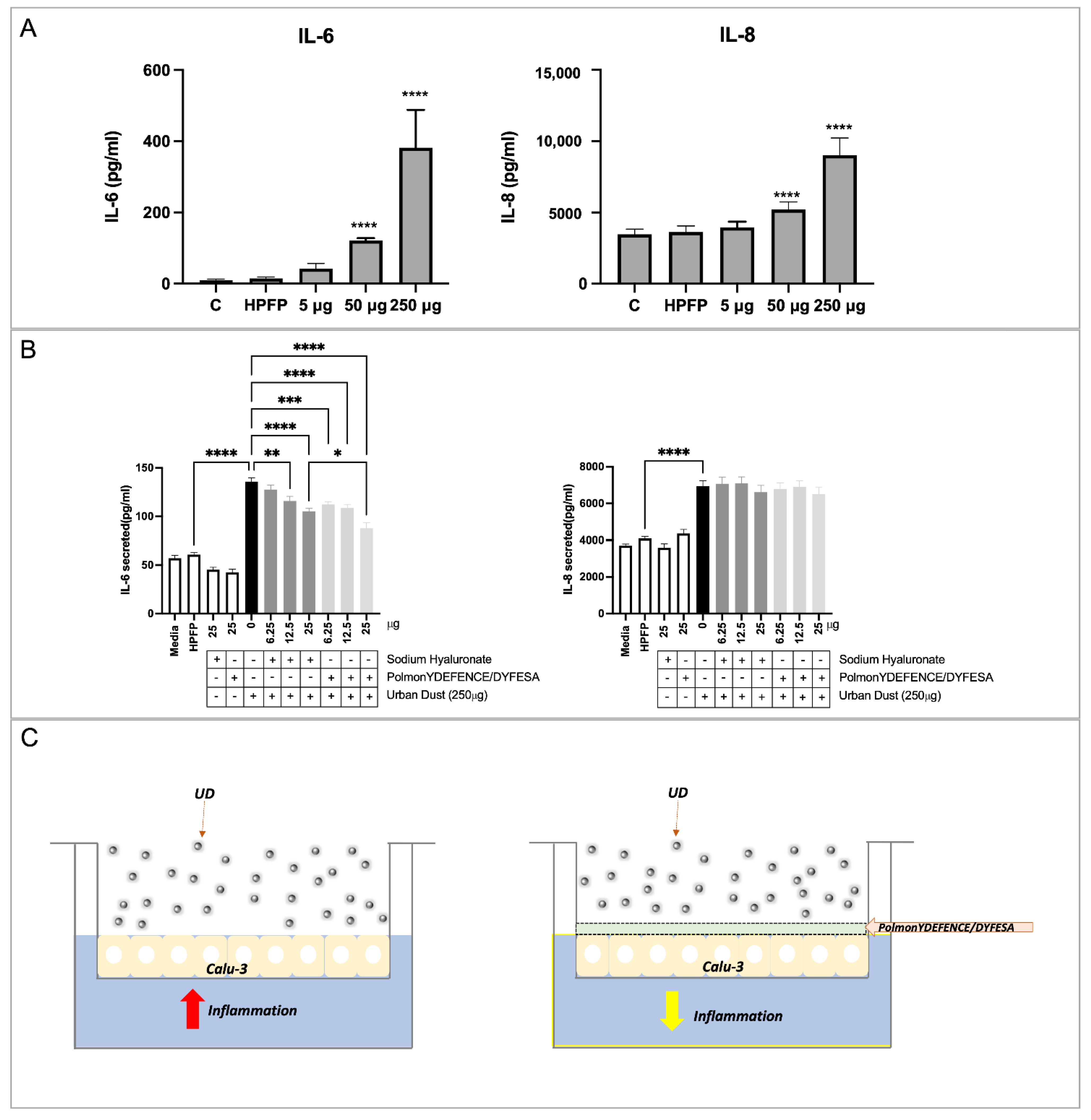 Pharmaceutics 14 01323 g003