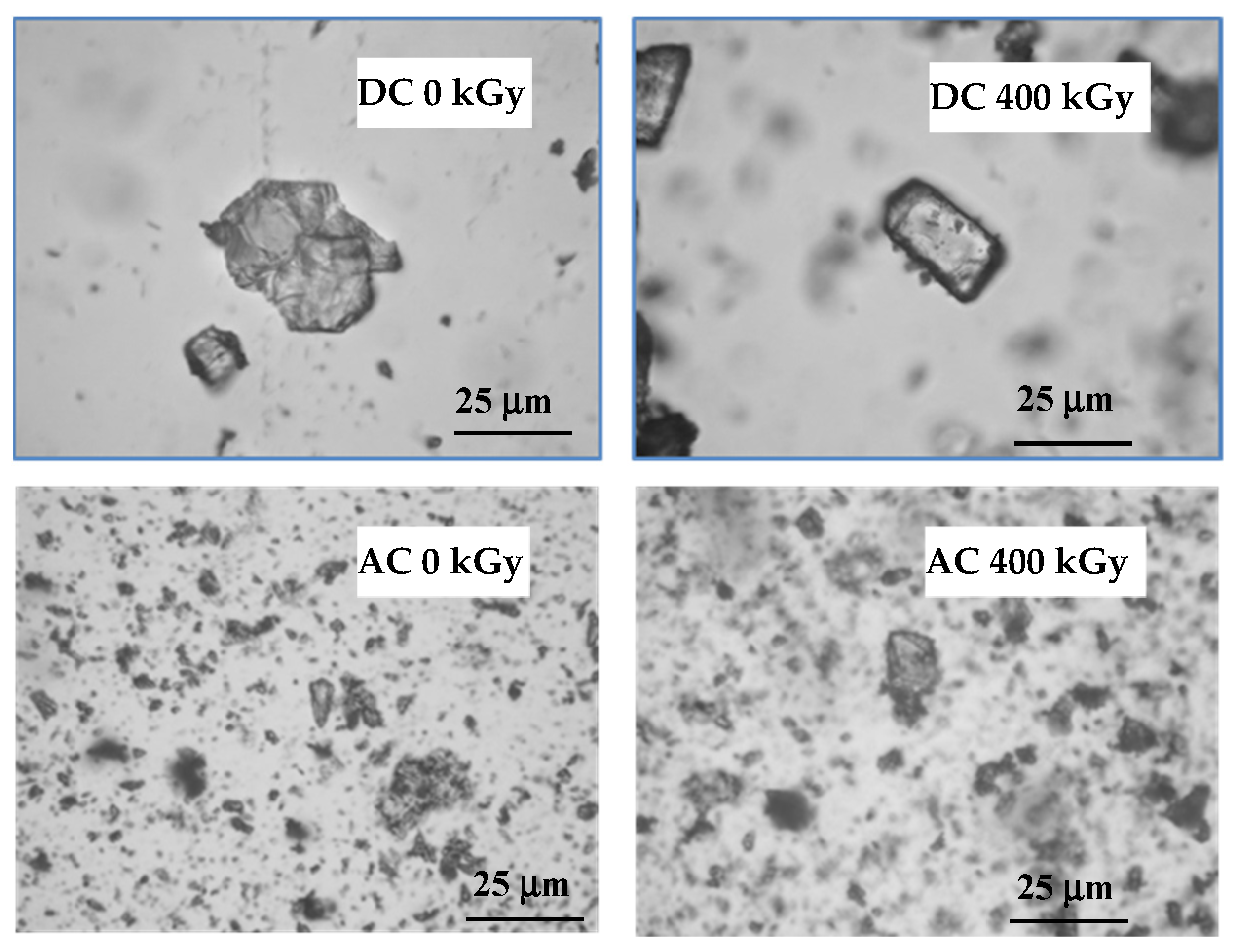 Pharmaceutics 14 01331 g003