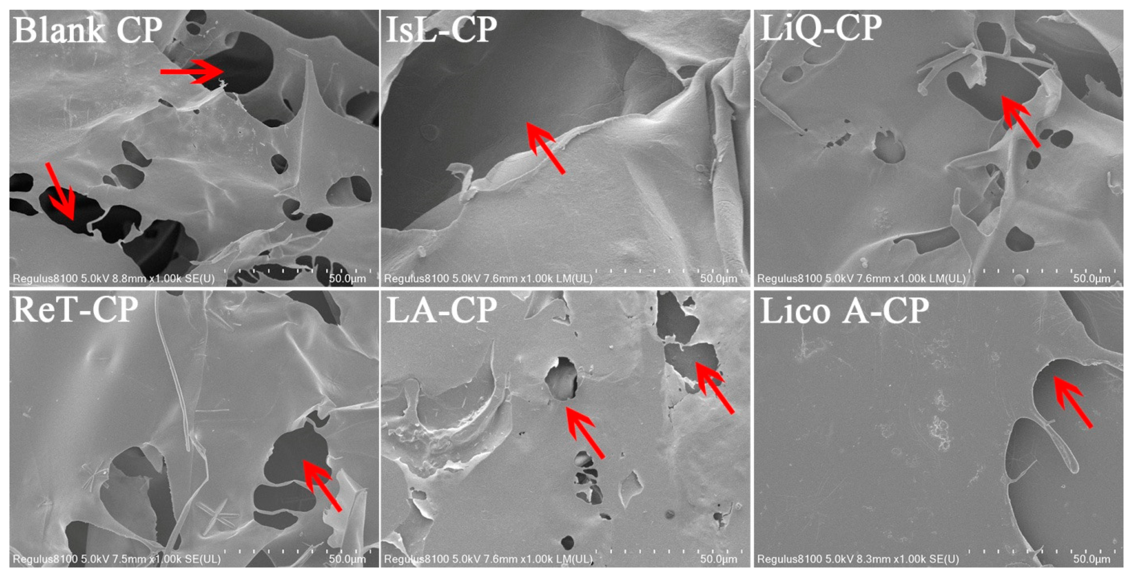 Pharmaceutics 14 01333 g007