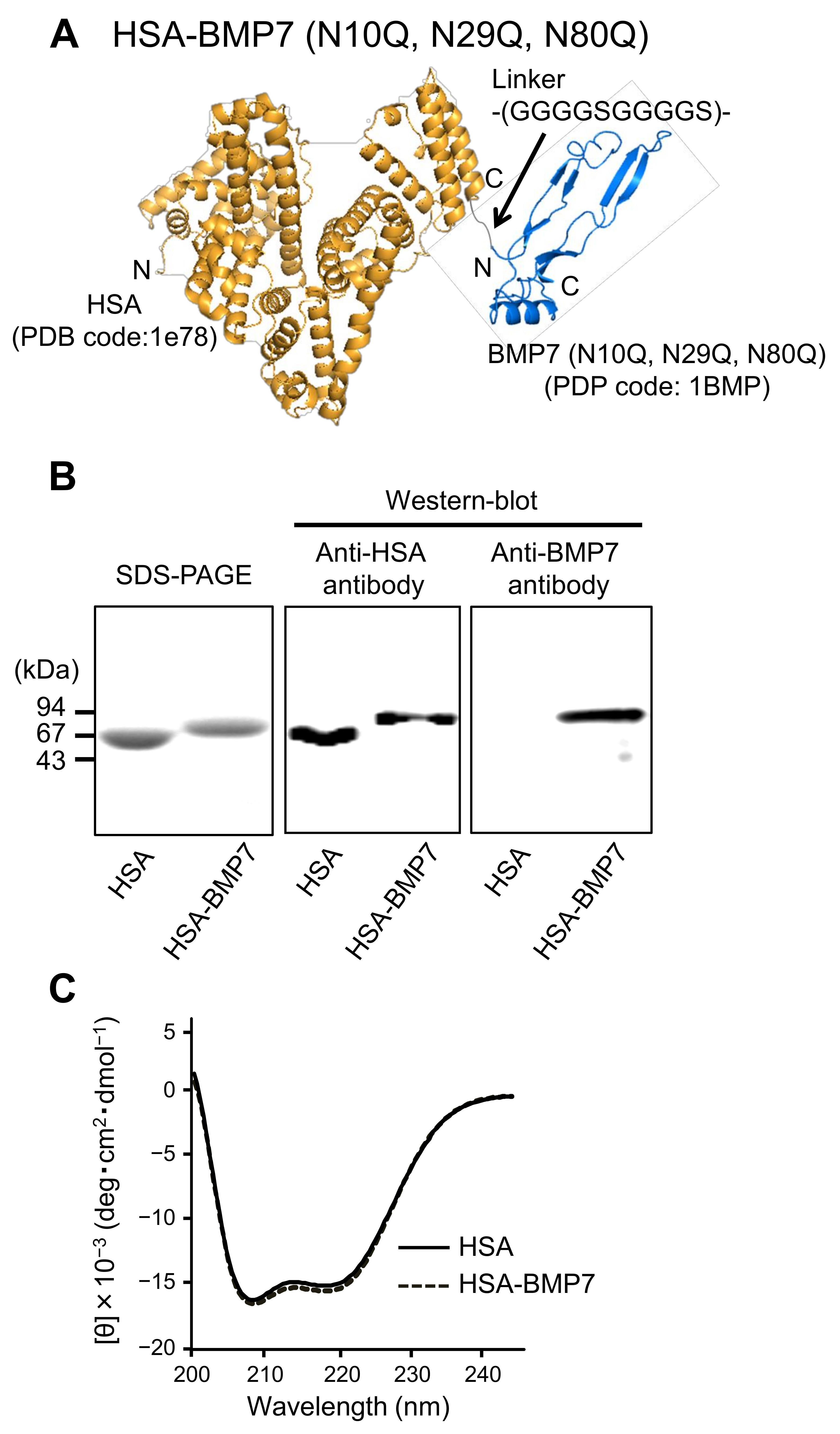 Pharmaceutics 14 01334 g001
