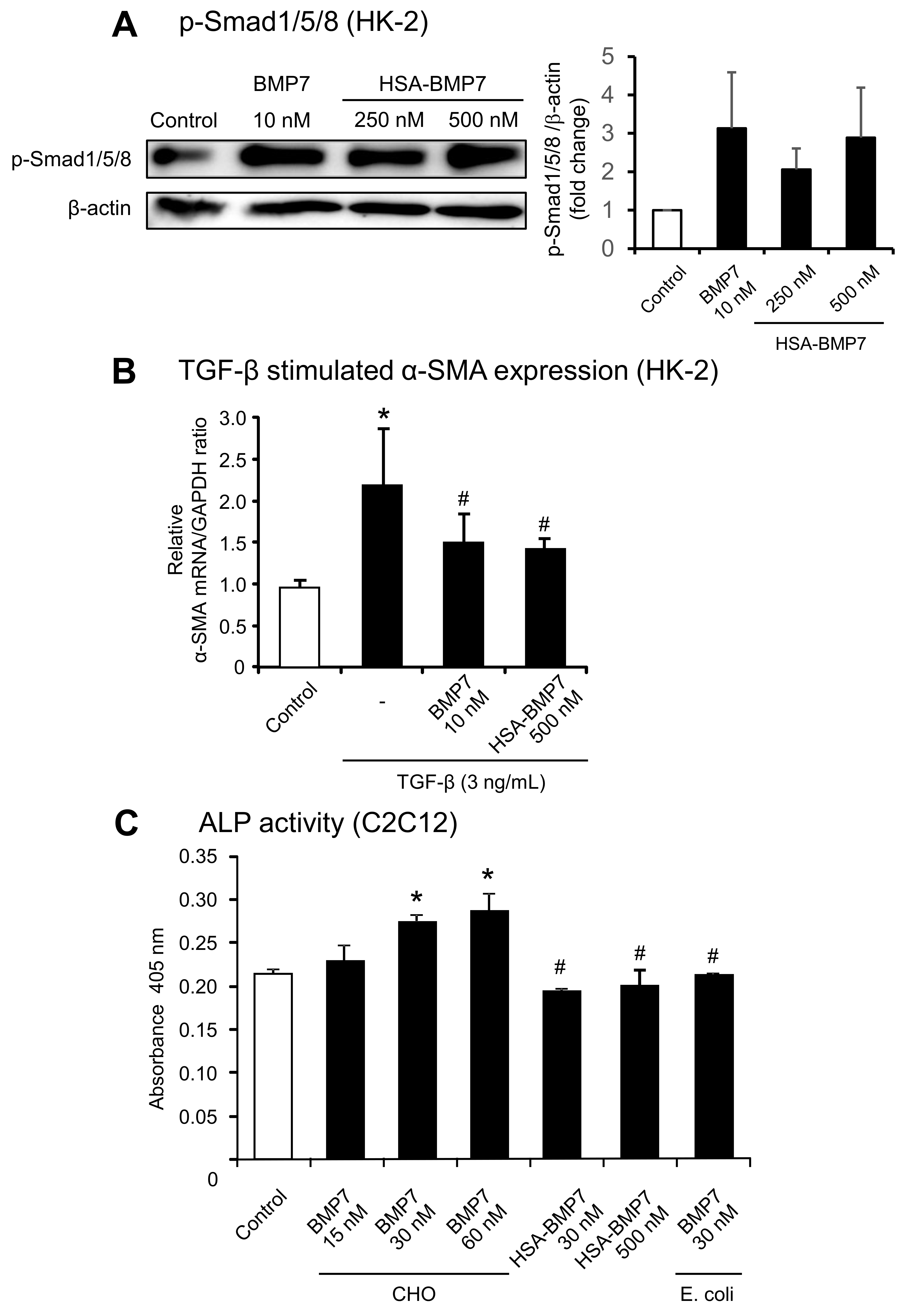 Pharmaceutics 14 01334 g002