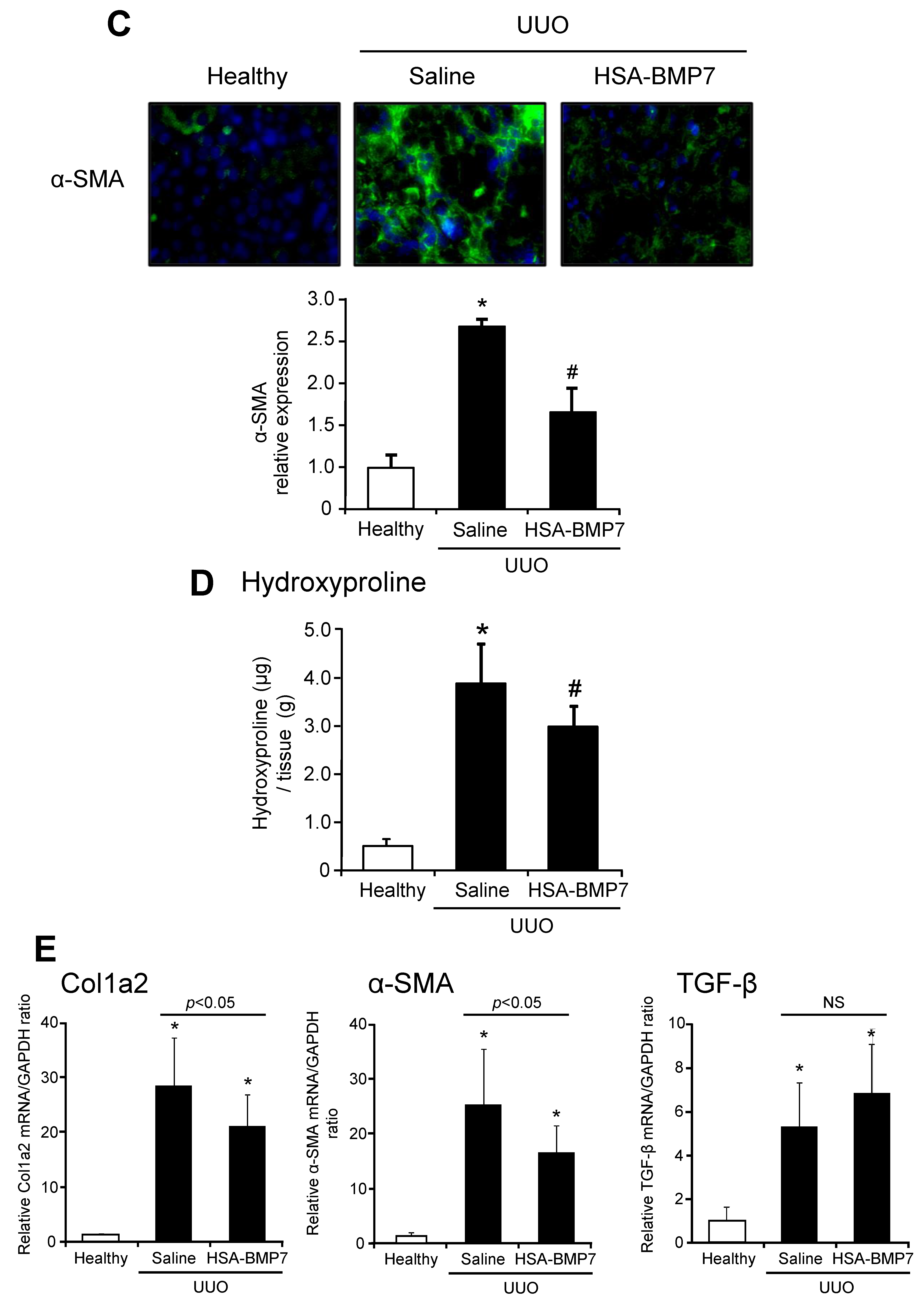 Pharmaceutics 14 01334 g004b