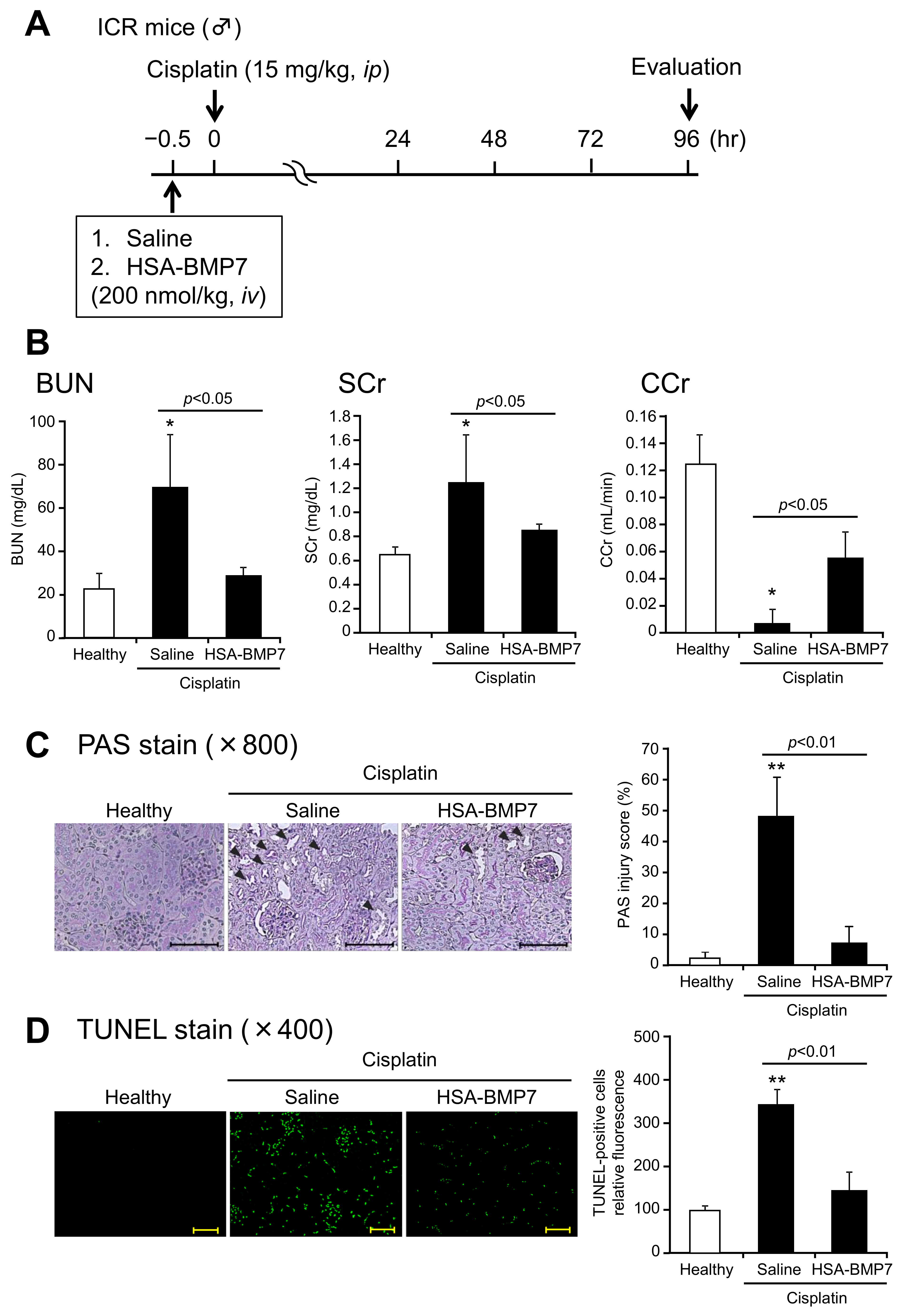 Pharmaceutics 14 01334 g005