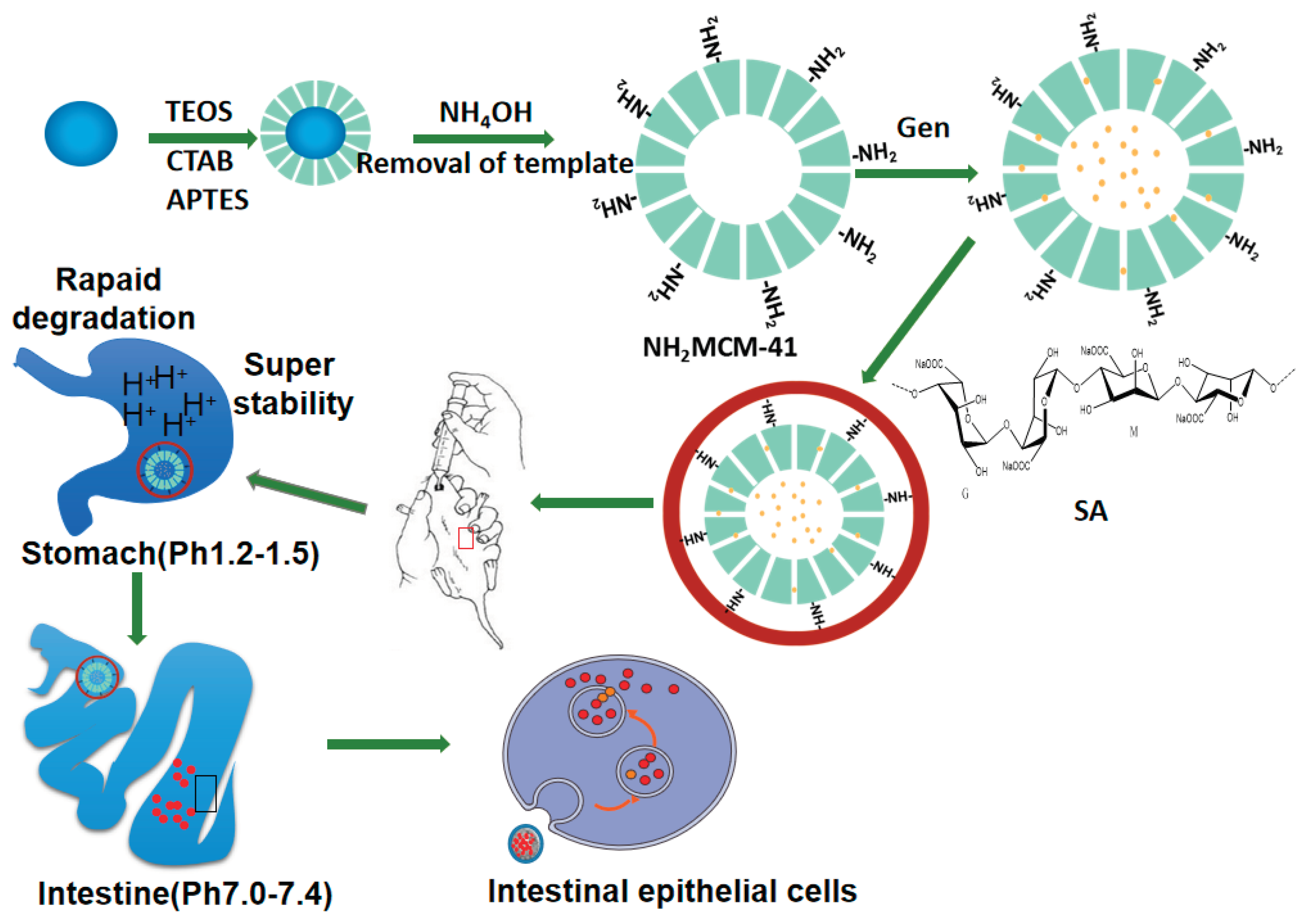 Pharmaceutics 14 01337 g004