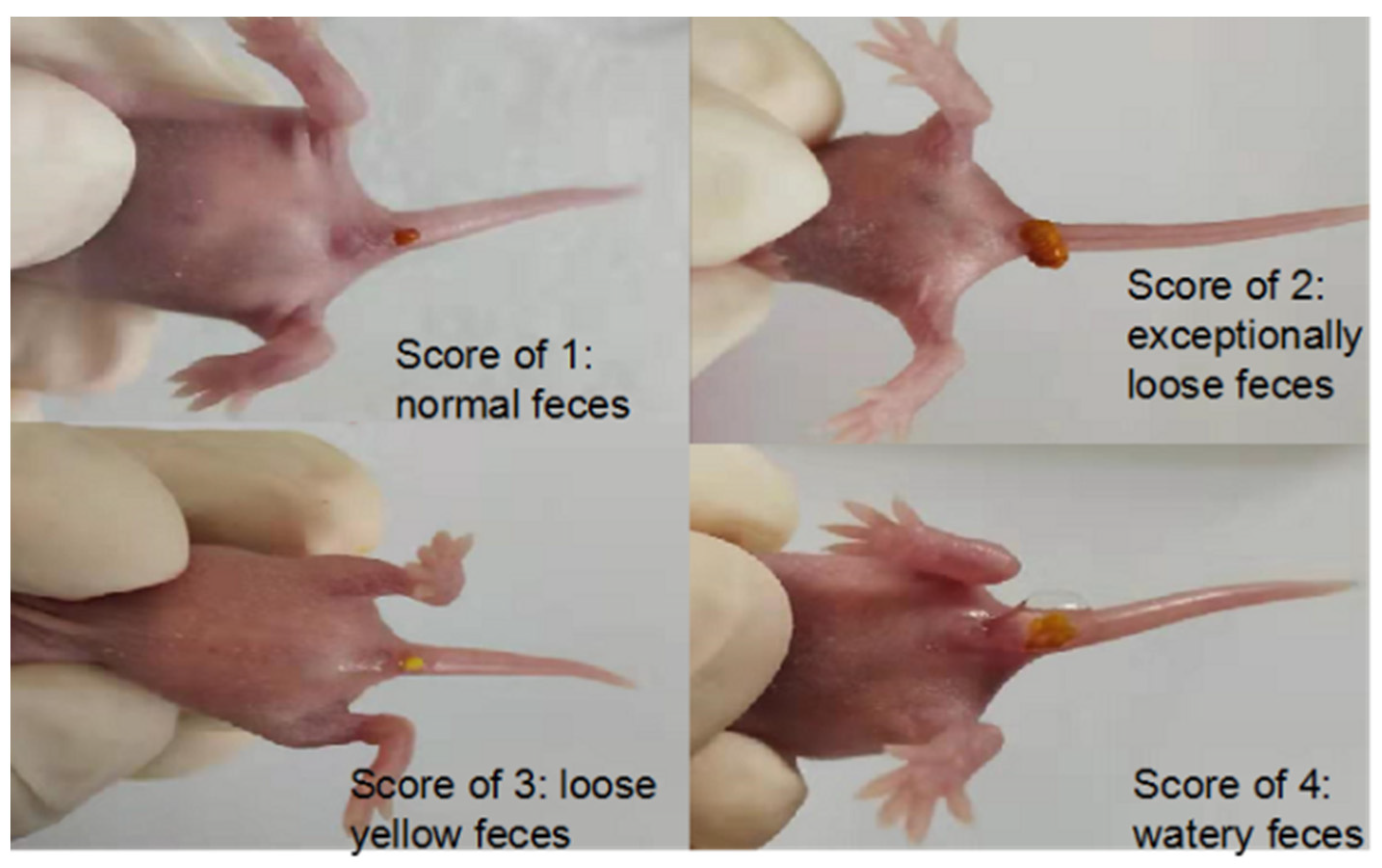 Pharmaceutics 14 01337 g018