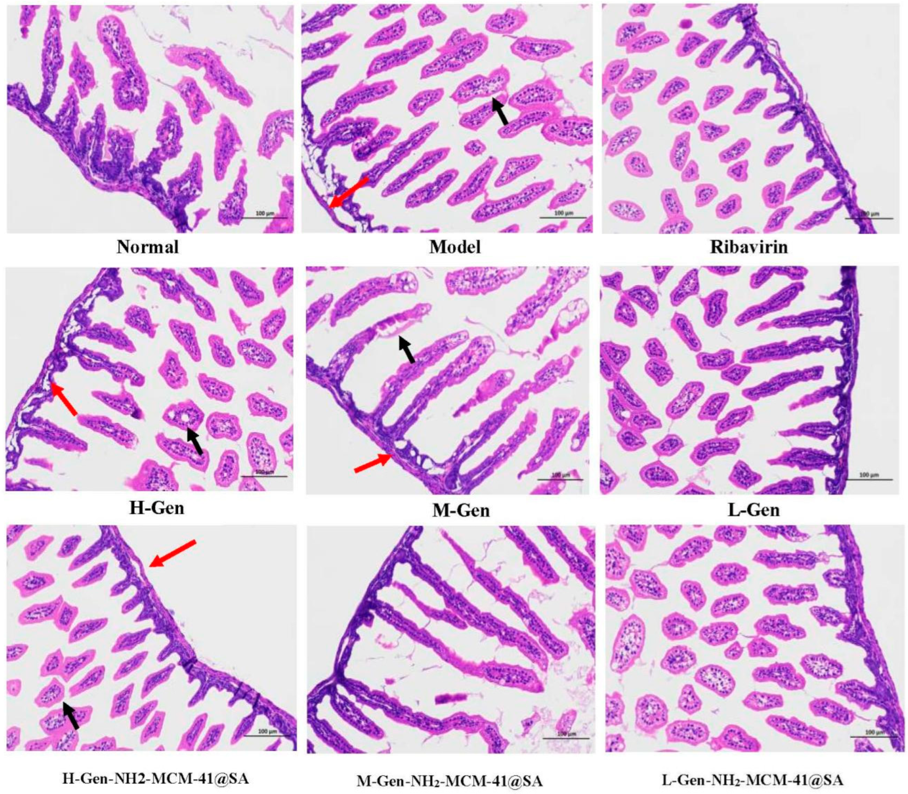 Pharmaceutics 14 01337 g020