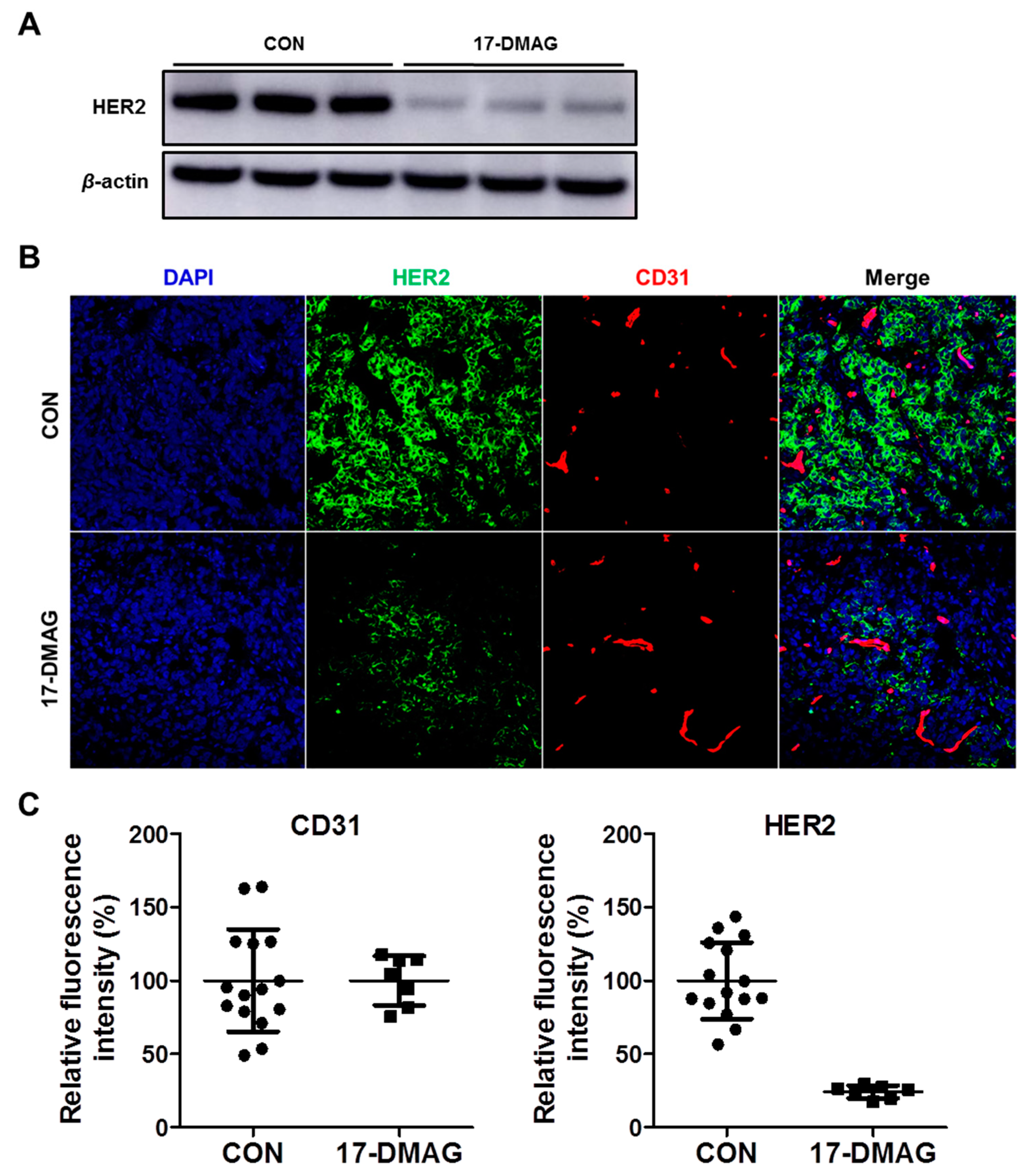Pharmaceutics 14 01338 g009 550