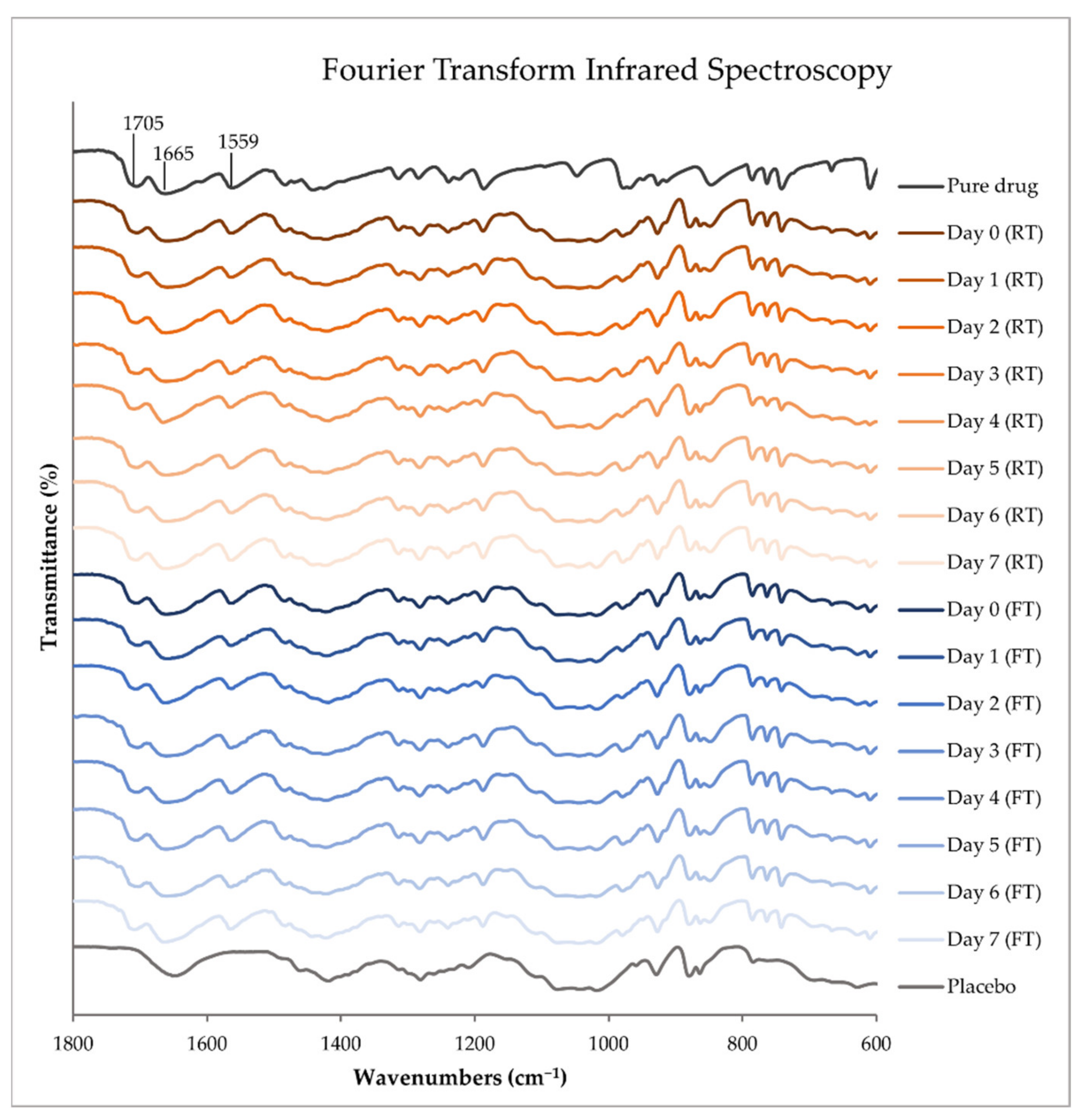 Pharmaceutics 14 01339 g002