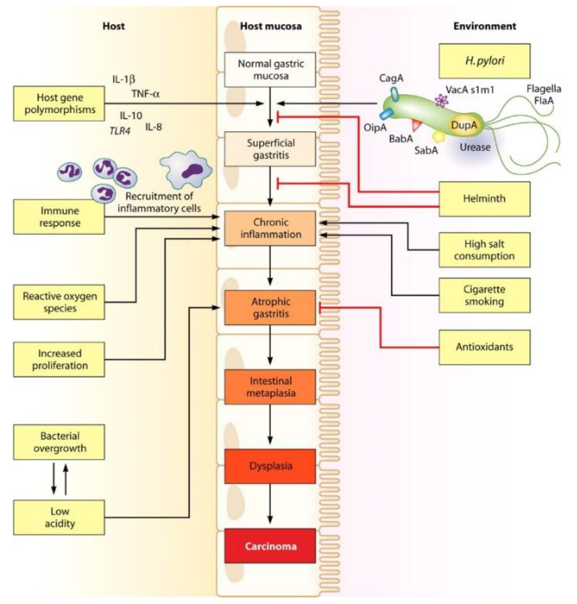 Pharmaceutics 14 01340 g003