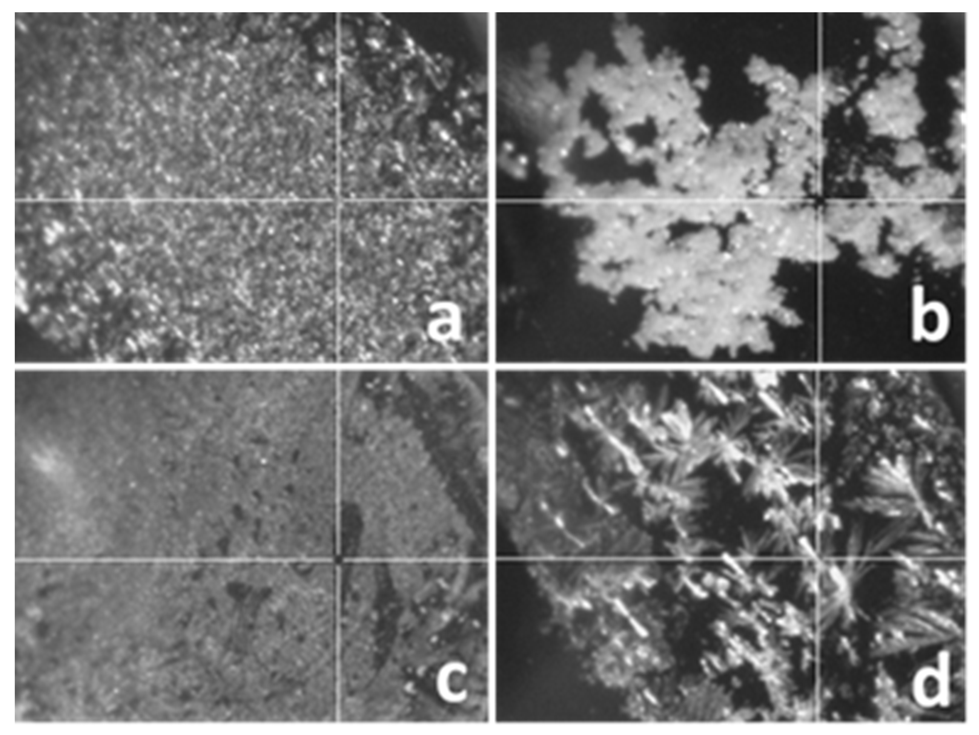 Pharmaceutics 14 01341 g004