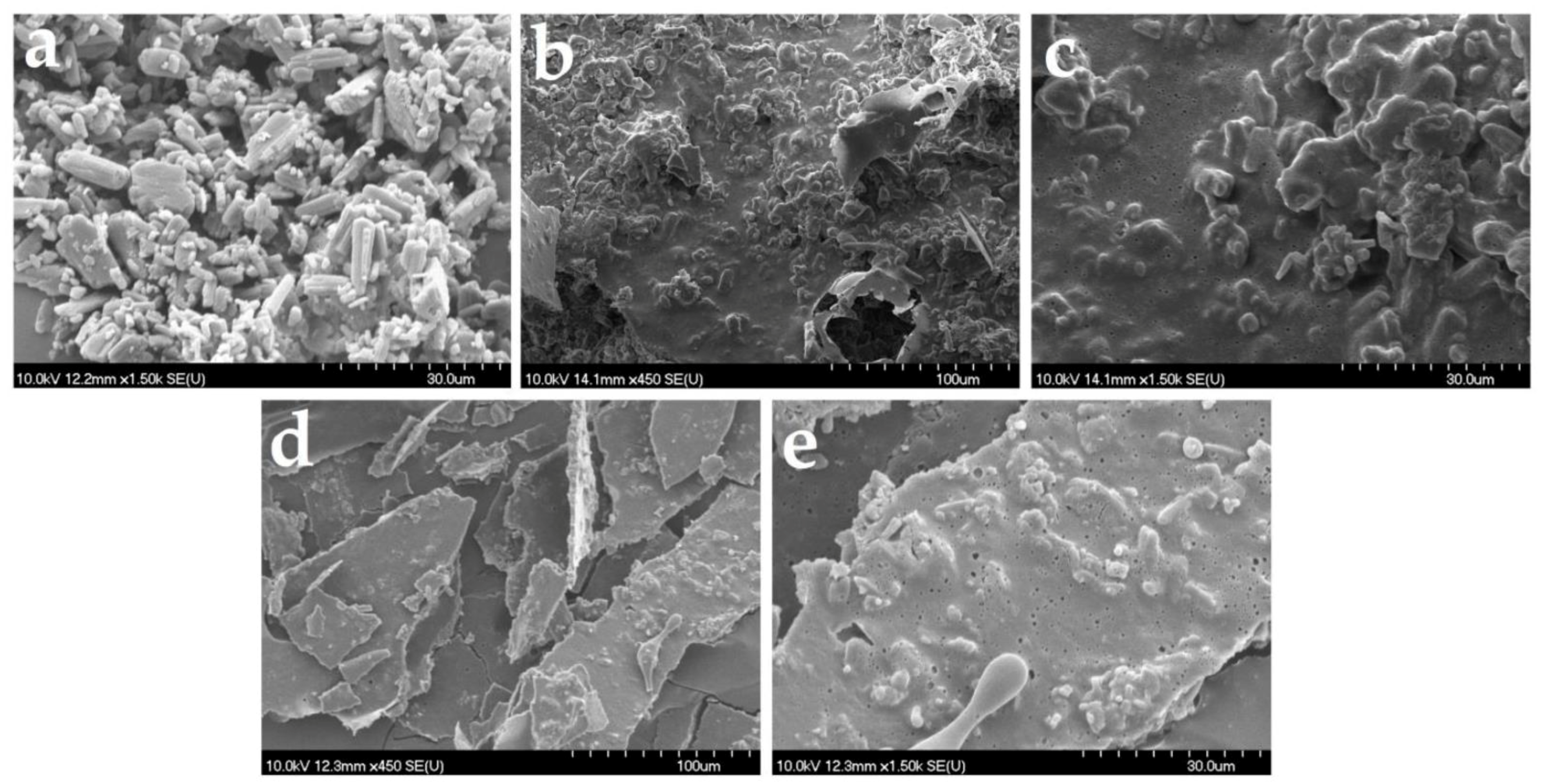Pharmaceutics 14 01342 g009 550