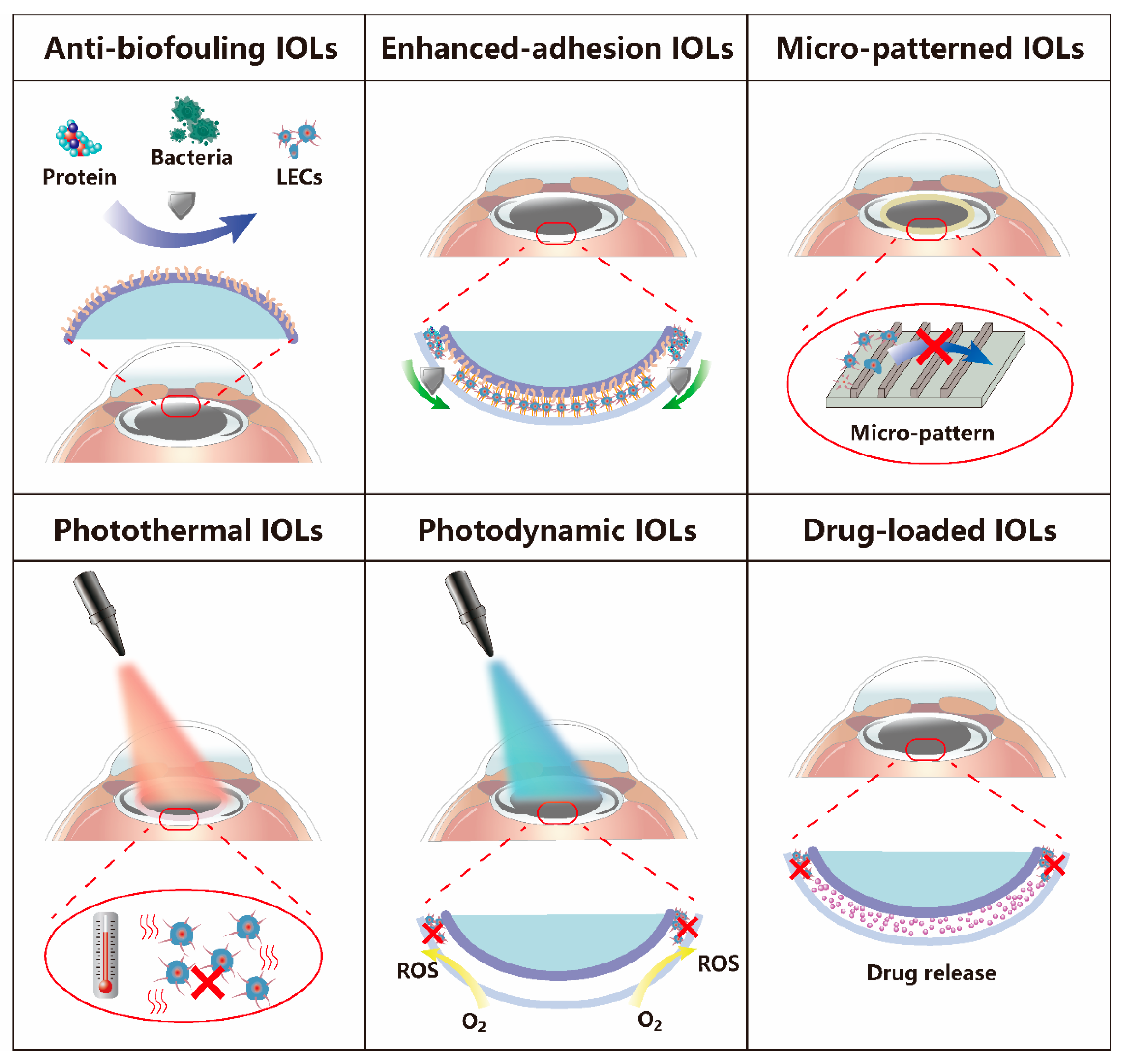 Pharmaceutics 14 01343 g002