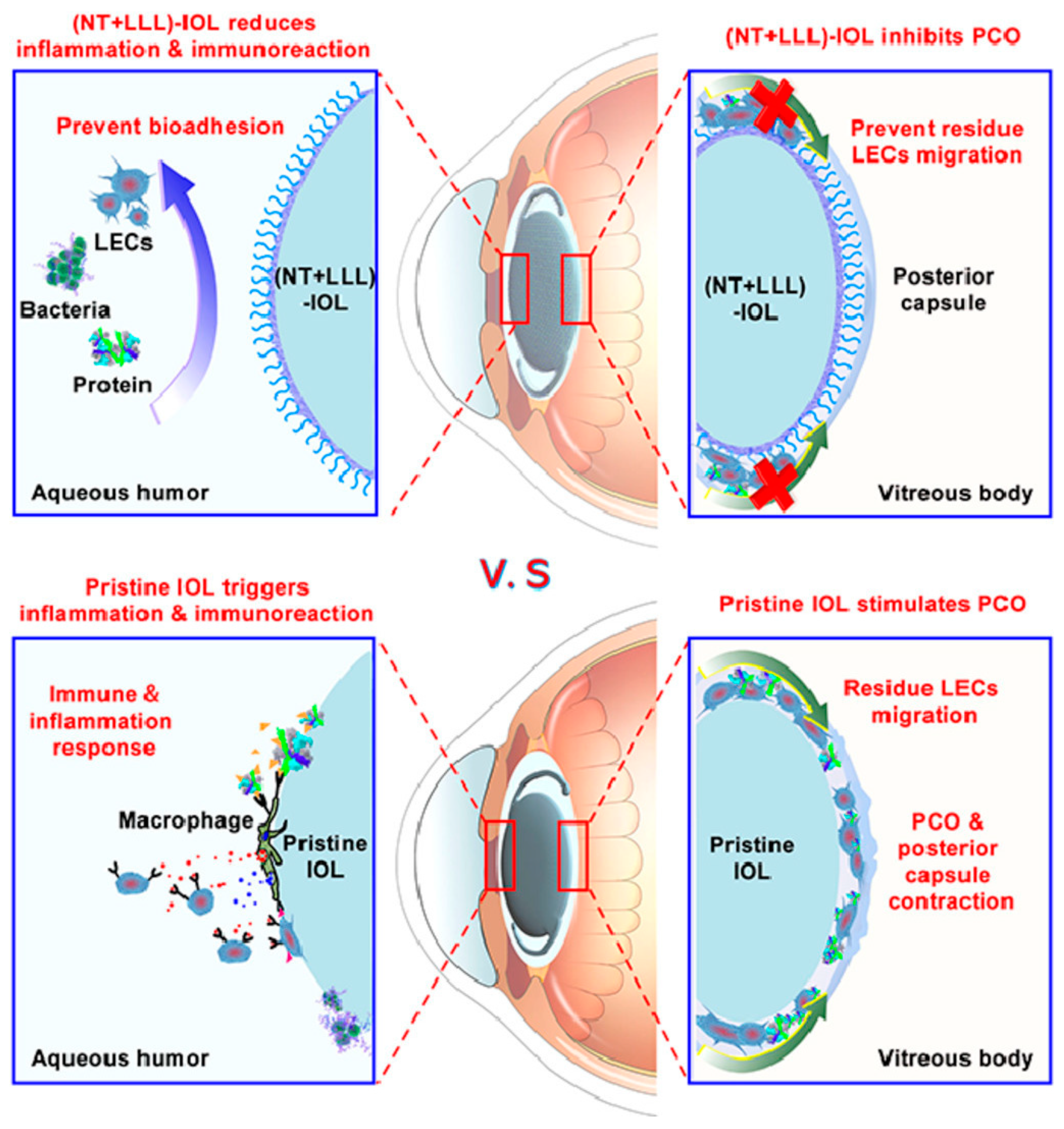 Pharmaceutics 14 01343 g003