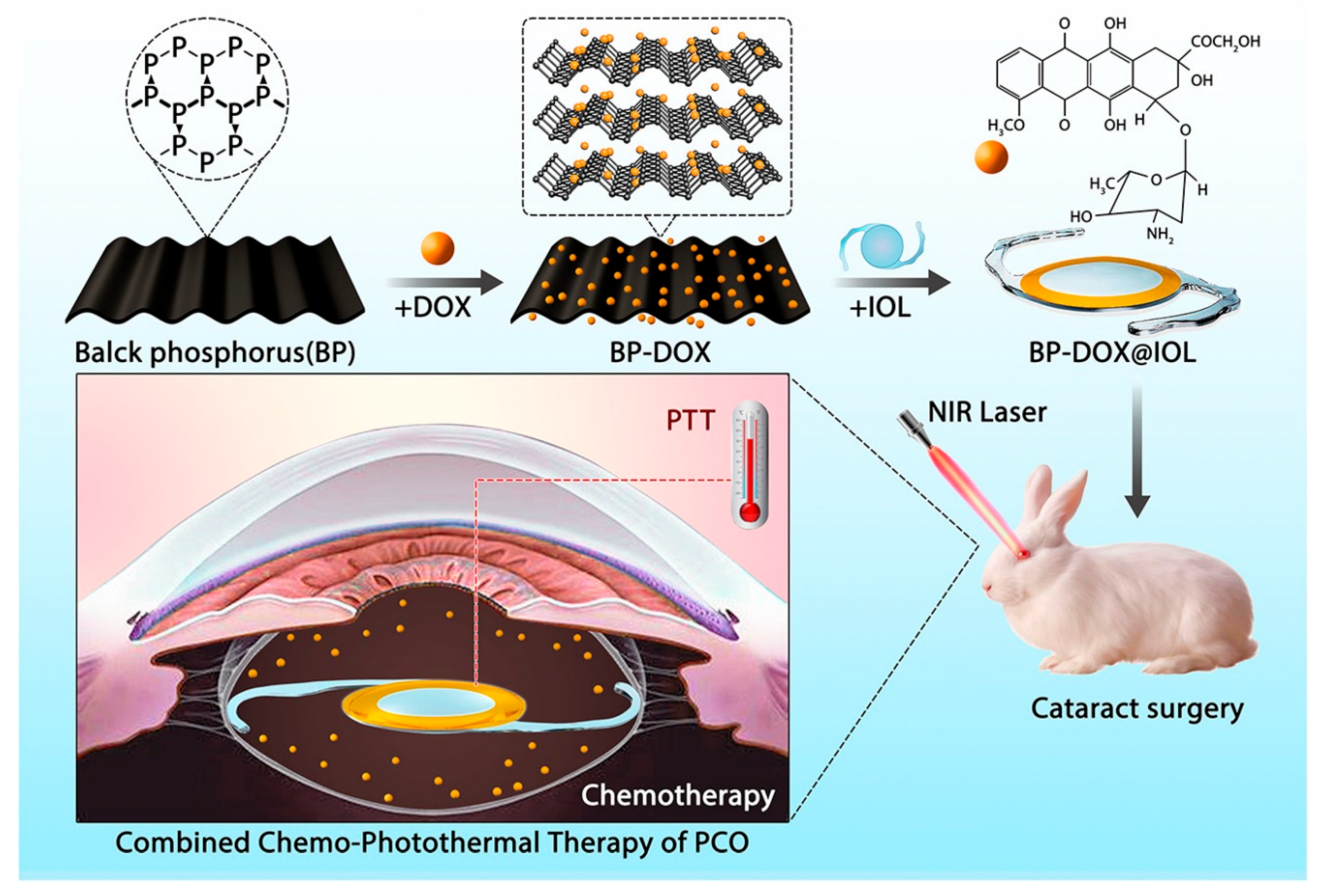 Pharmaceutics 14 01343 g006