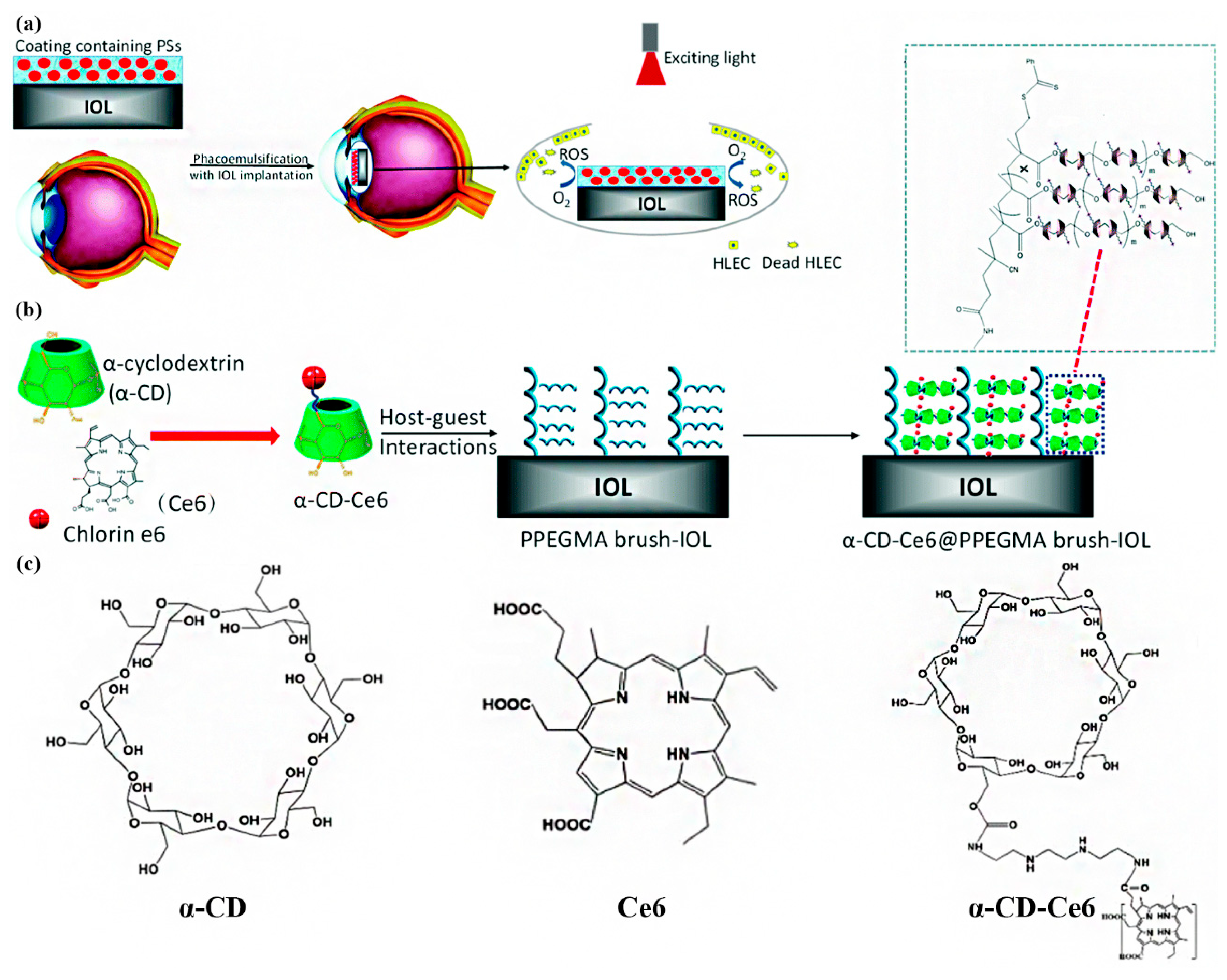 Pharmaceutics 14 01343 g007