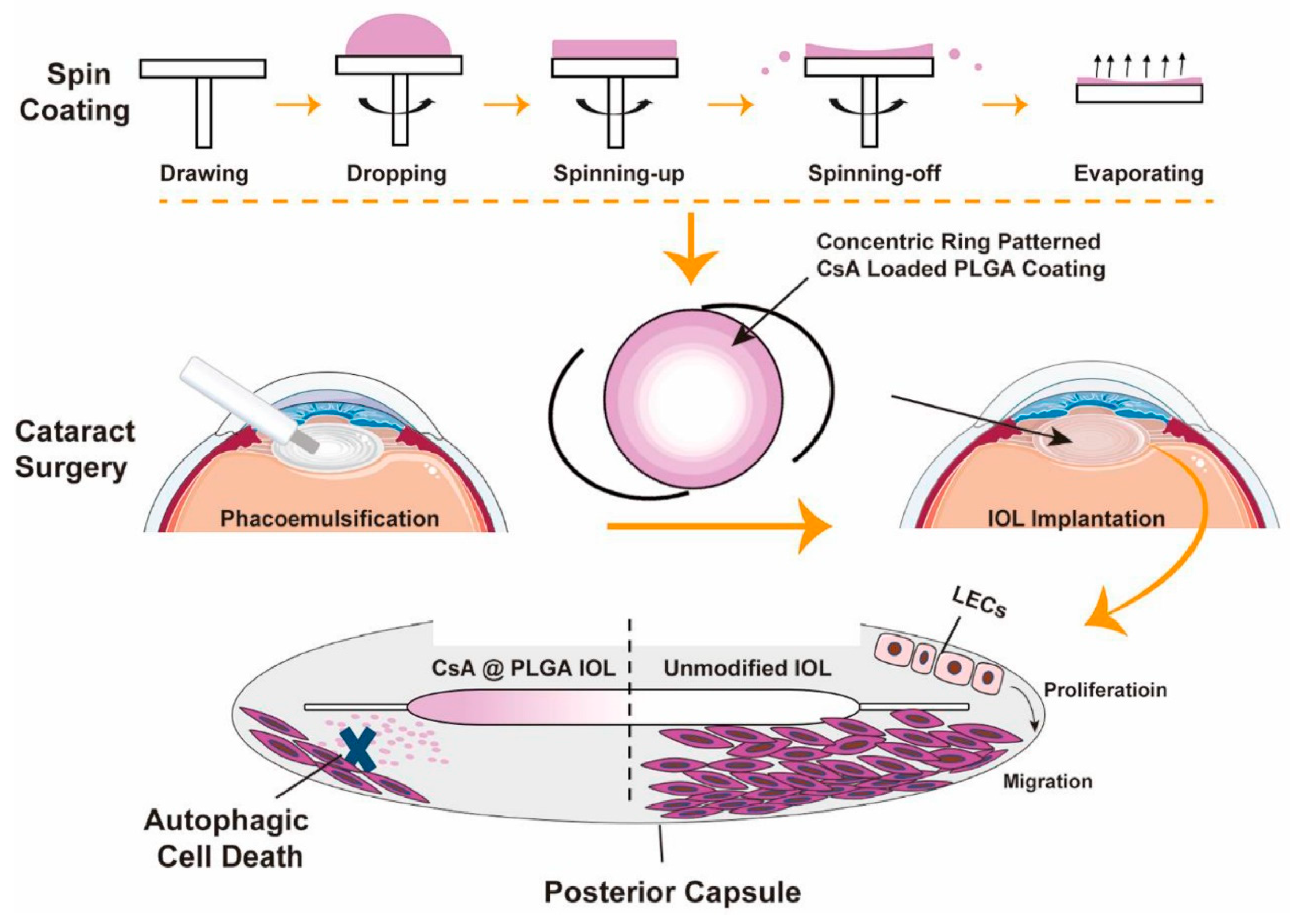Pharmaceutics 14 01343 g008