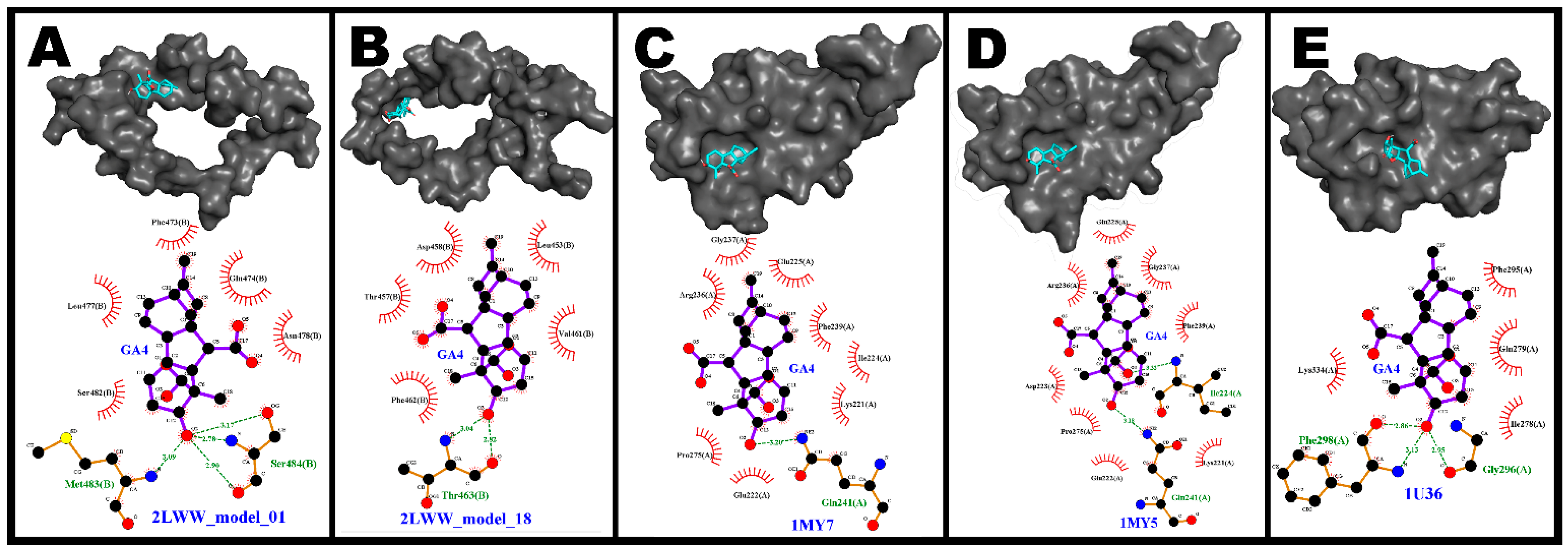 Pharmaceutics 14 01347 g003