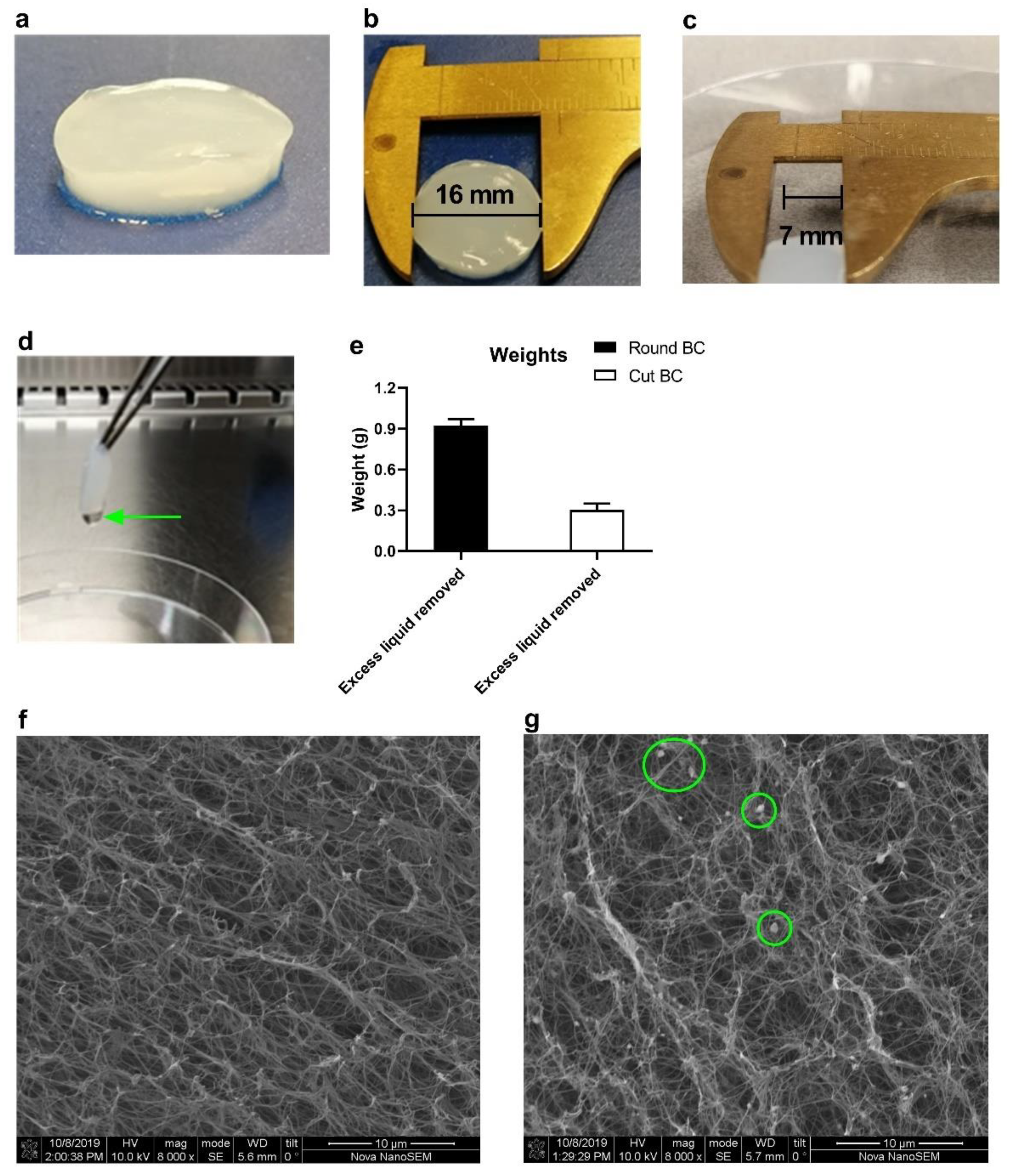 Pharmaceutics 14 01351 g001
