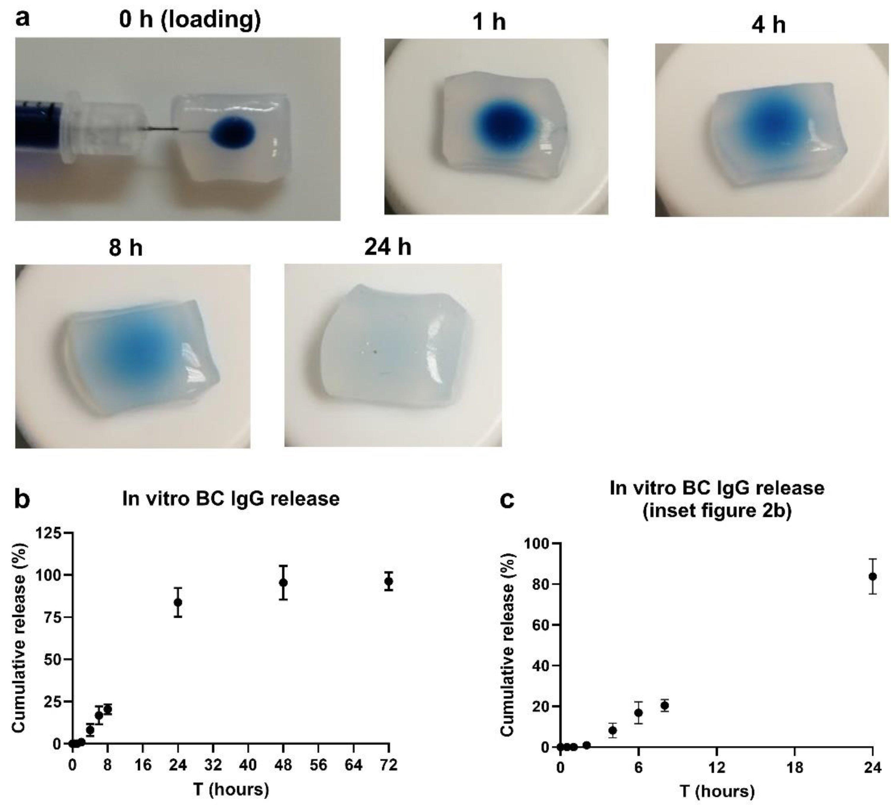 Pharmaceutics 14 01351 g002