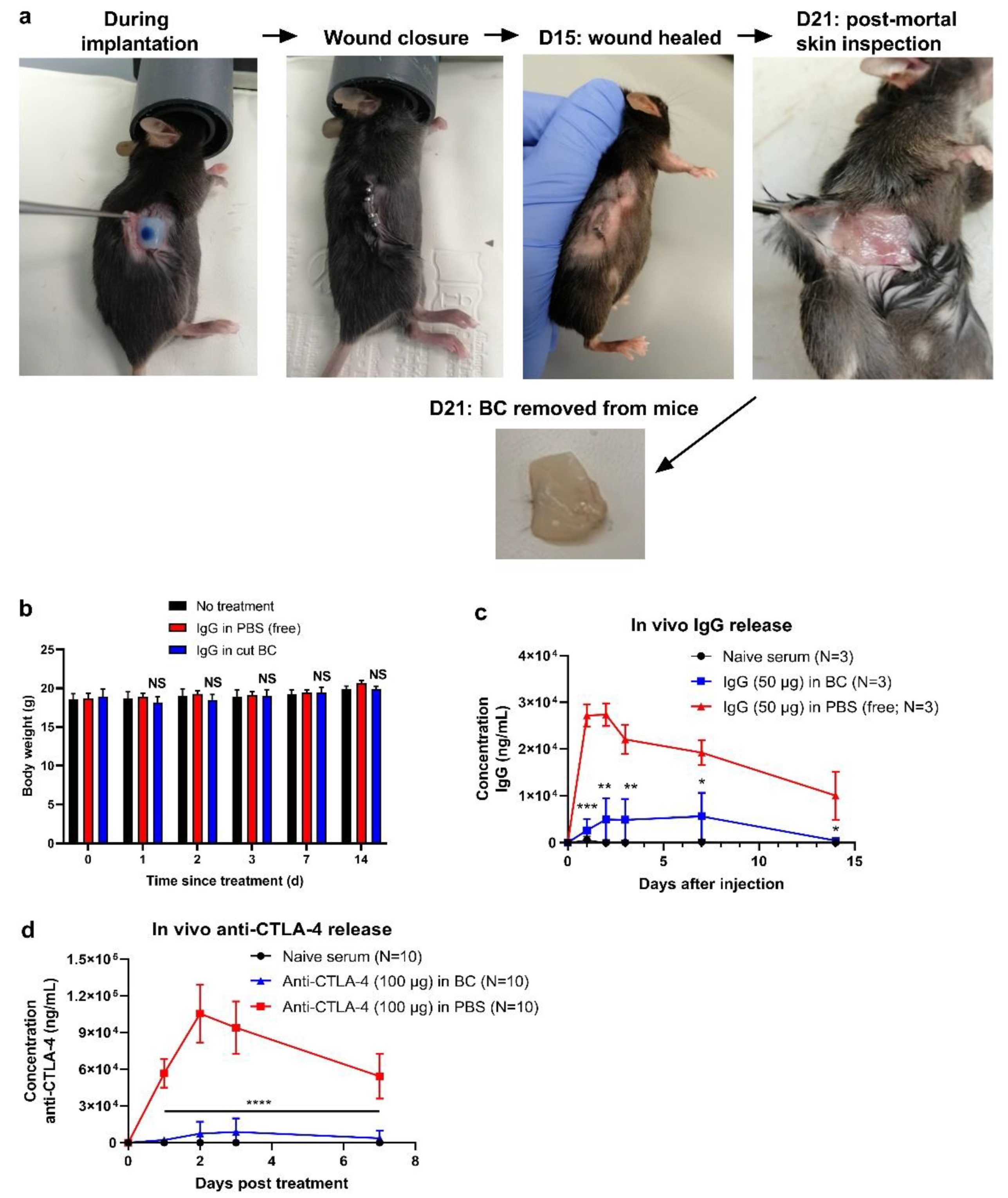 Pharmaceutics 14 01351 g006