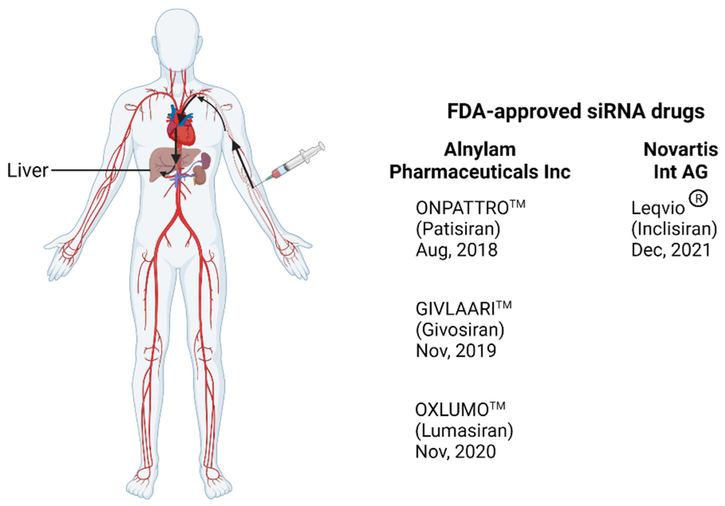 Pharmaceutics 14 01352 g001