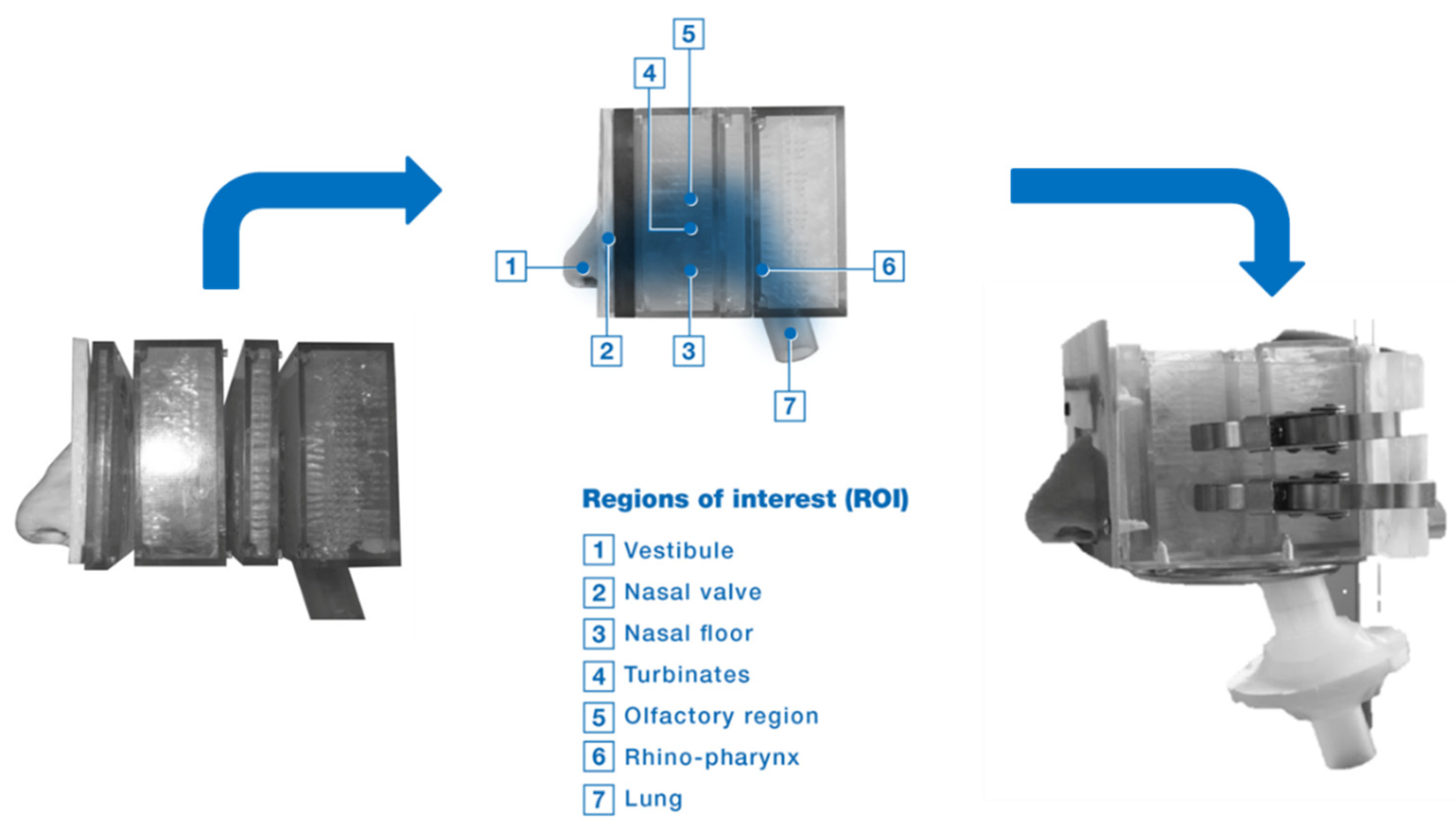 Pharmaceutics 14 01353 g004