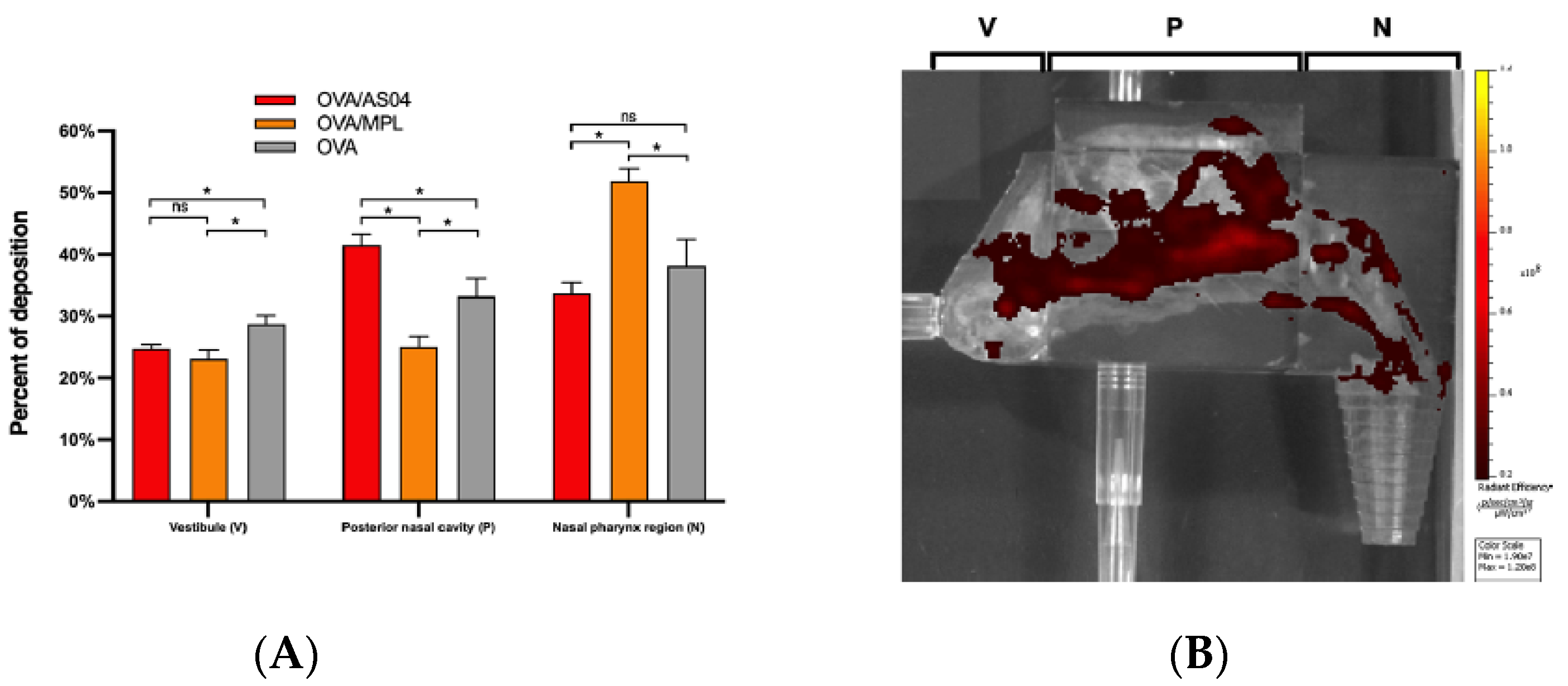 Pharmaceutics 14 01353 g007