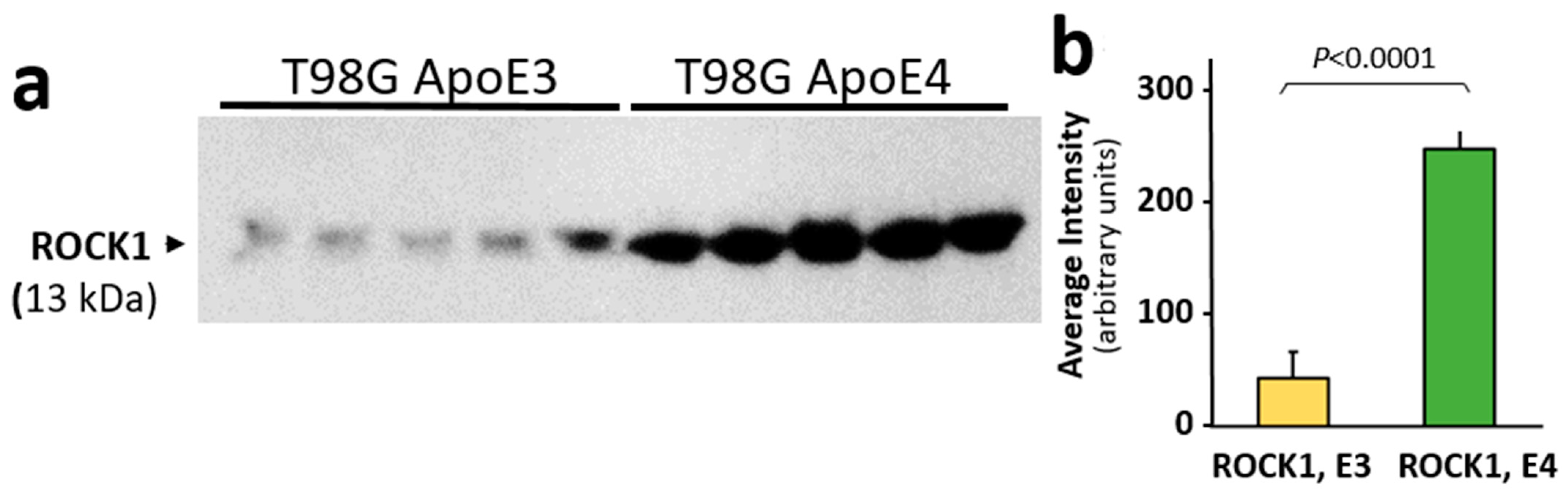 Pharmaceutics 14 01354 g004 Pharmaceutics 14 01354 g004