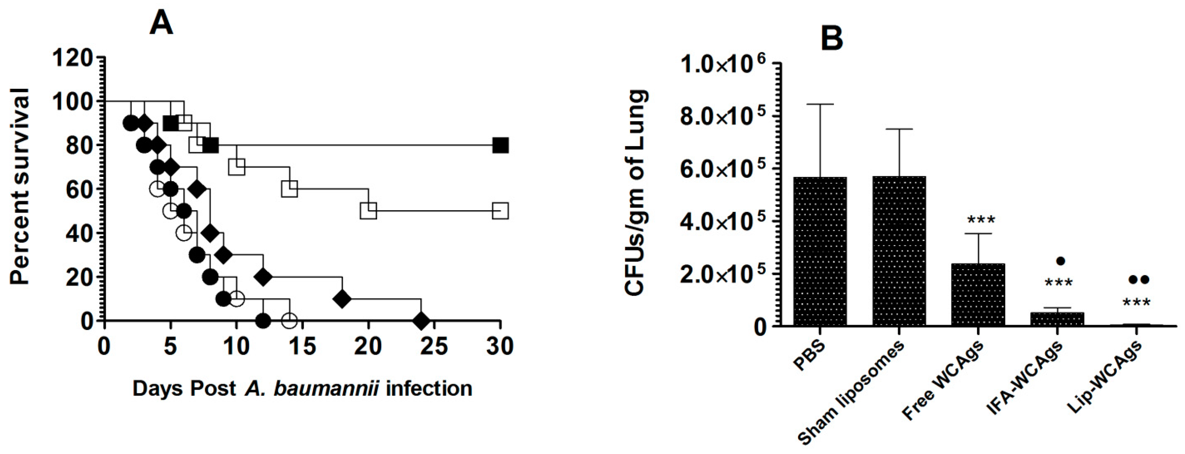 Pharmaceutics 14 01357 g007