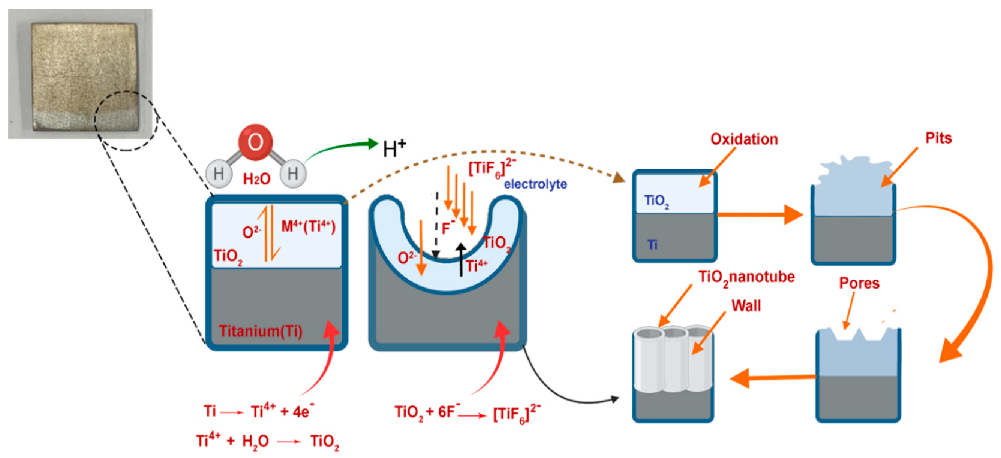 Pharmaceutics 14 01359 g001