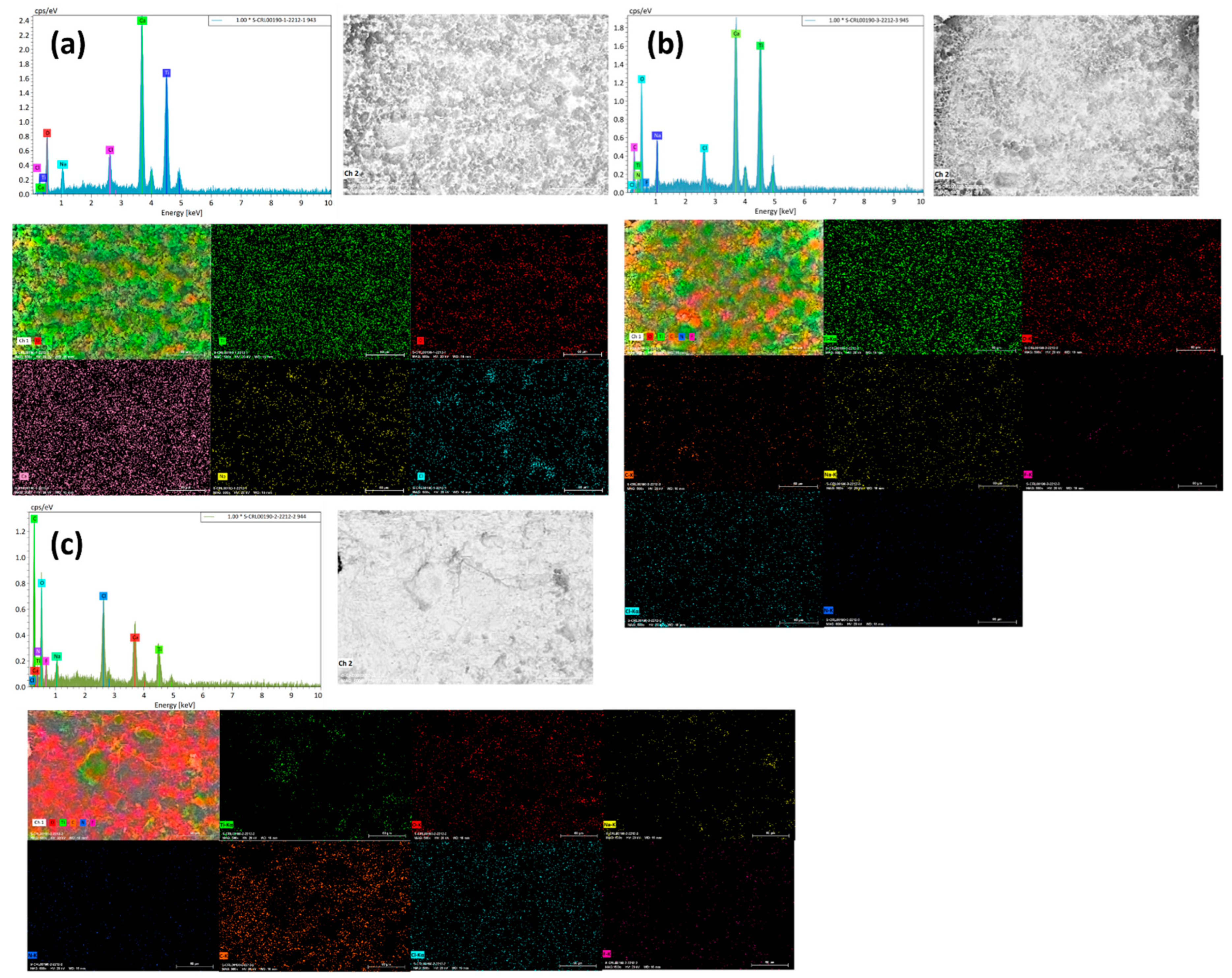 Pharmaceutics 14 01359 g002