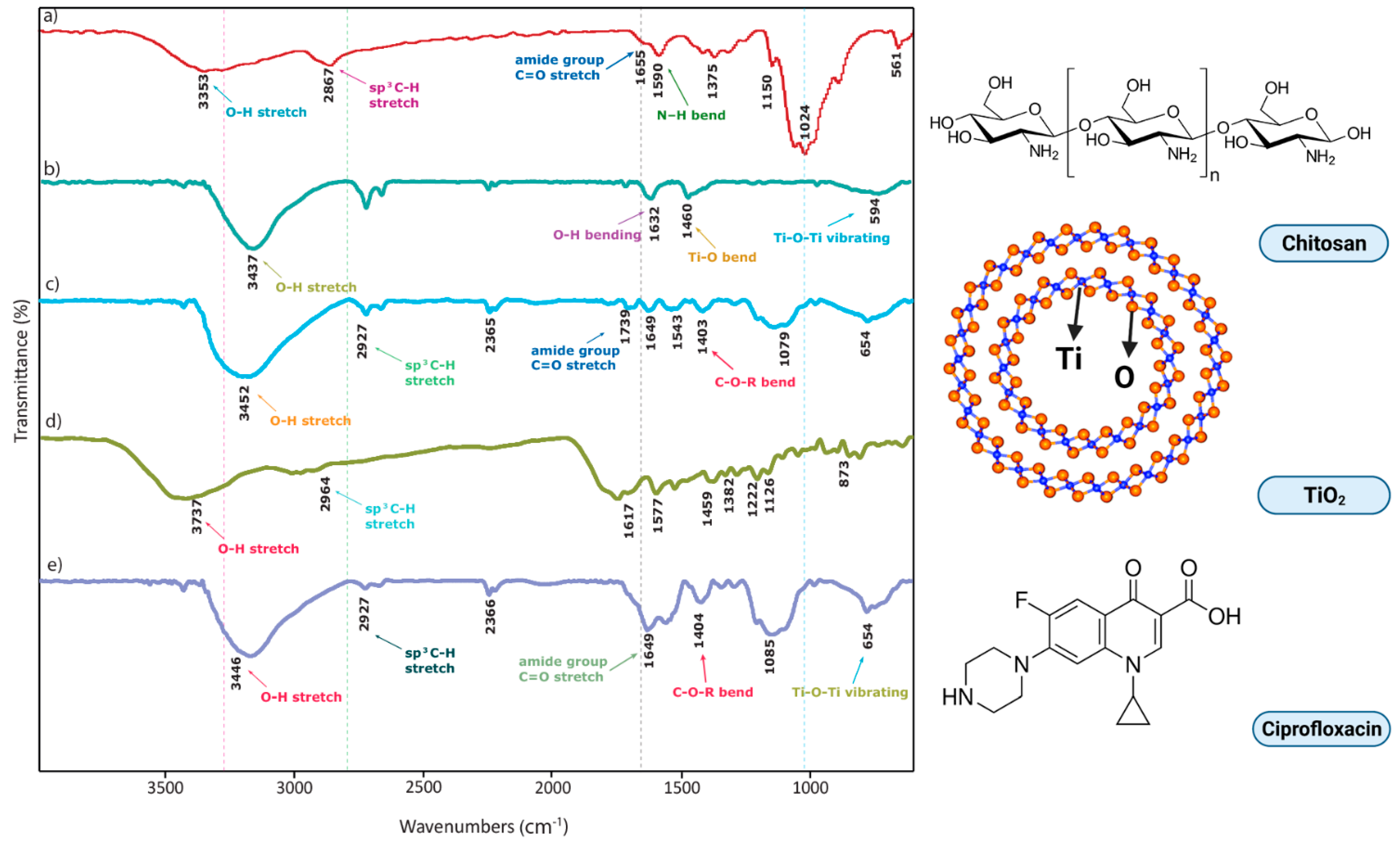 Pharmaceutics 14 01359 g003