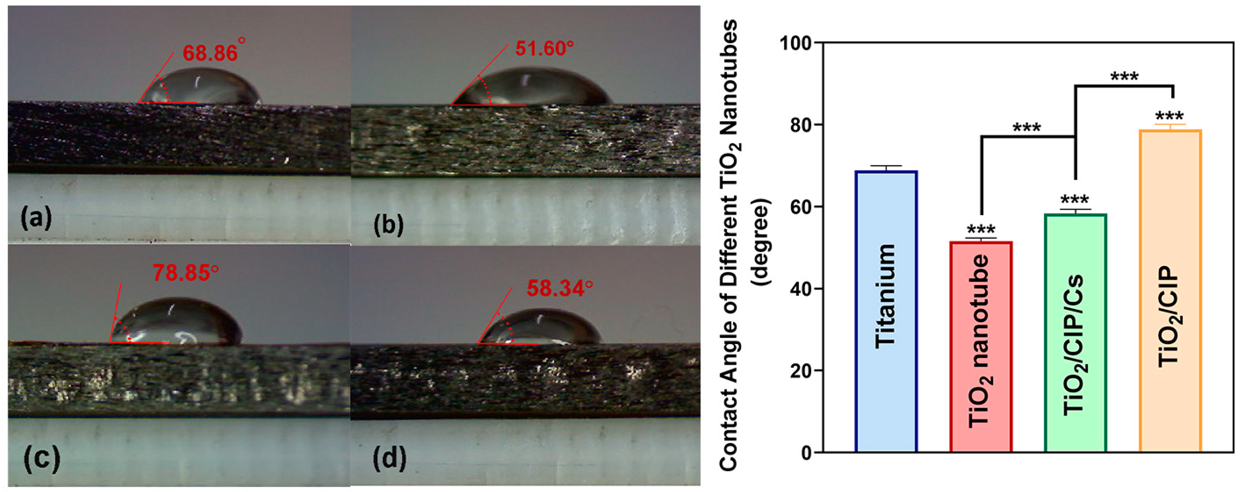 Pharmaceutics 14 01359 g005