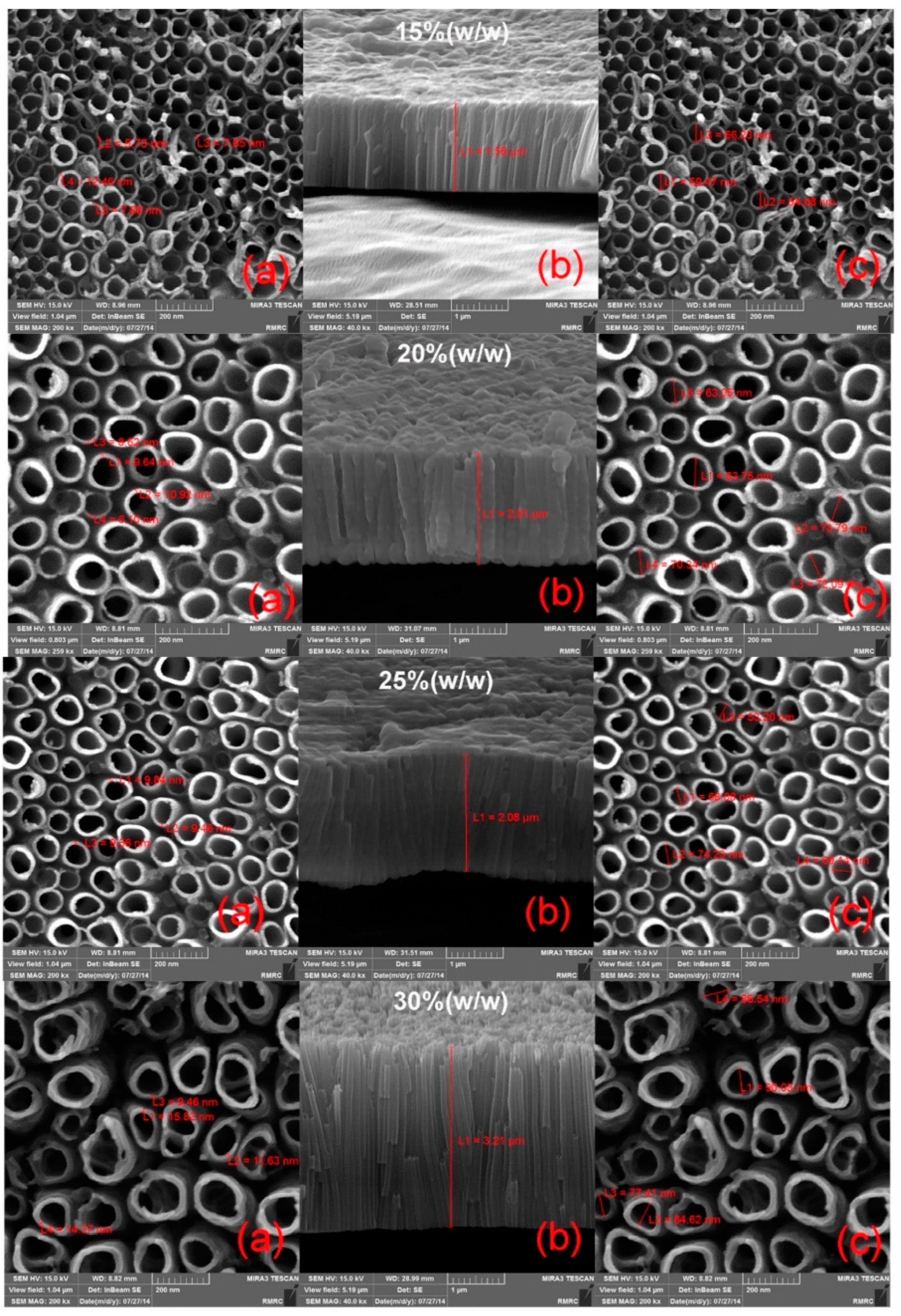 Pharmaceutics 14 01359 g006