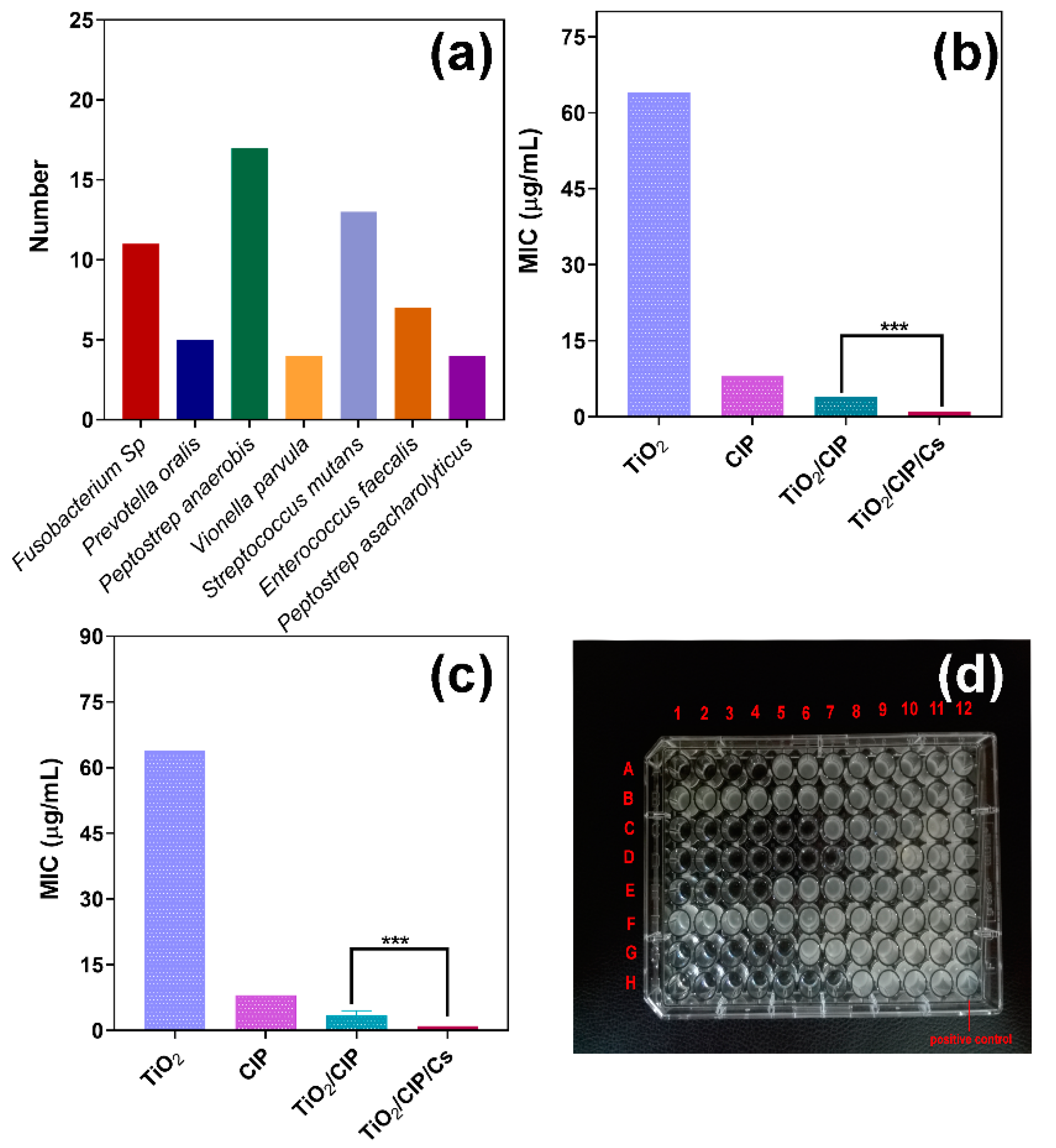 Pharmaceutics 14 01359 g009