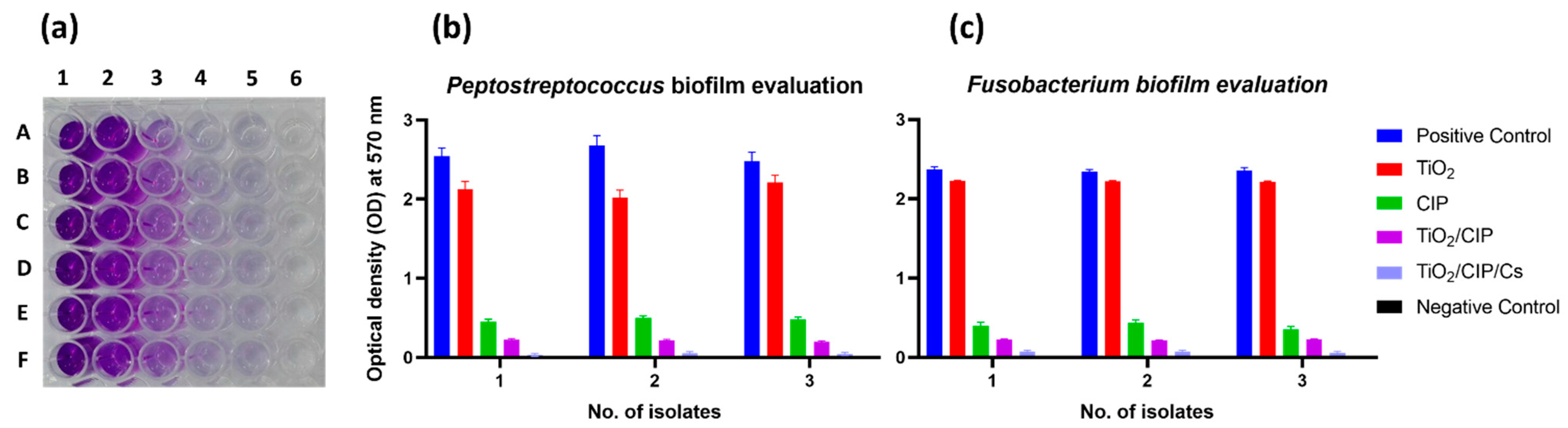 Pharmaceutics 14 01359 g010