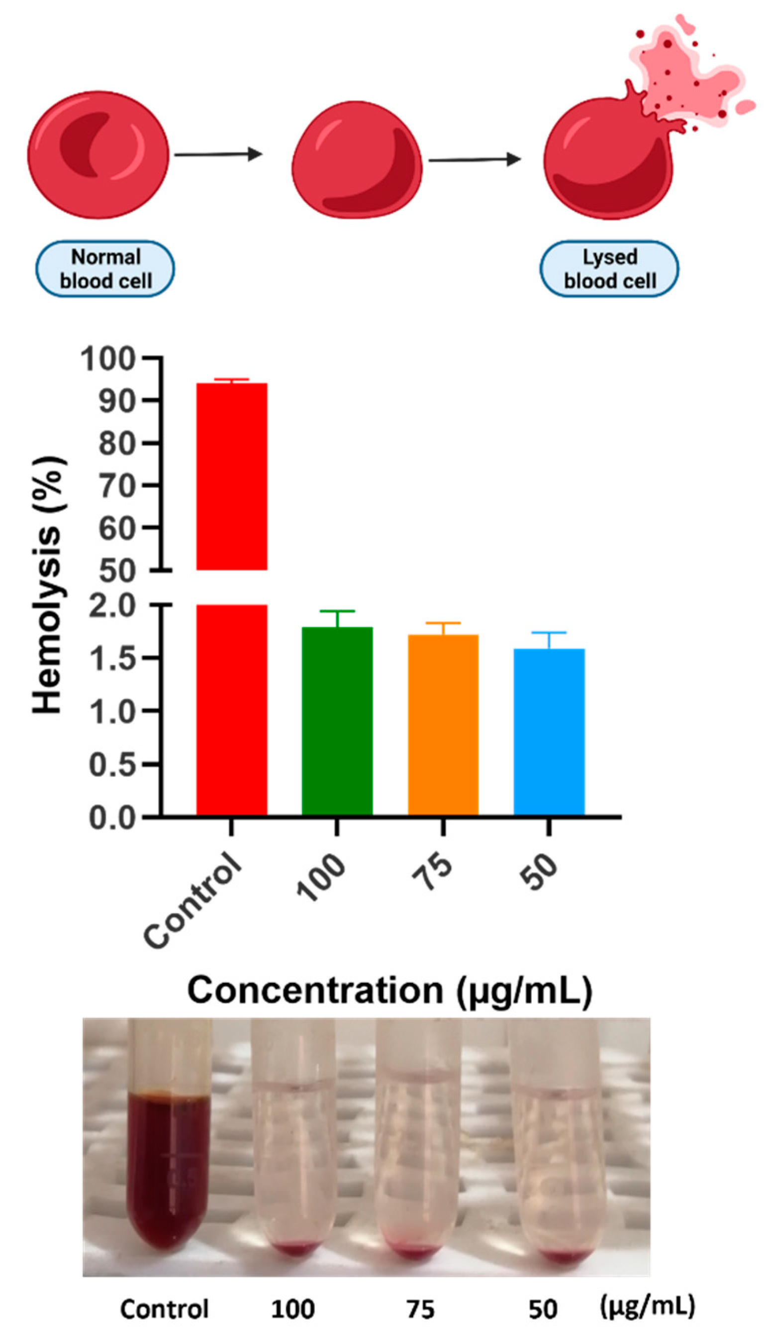 Pharmaceutics 14 01359 g011