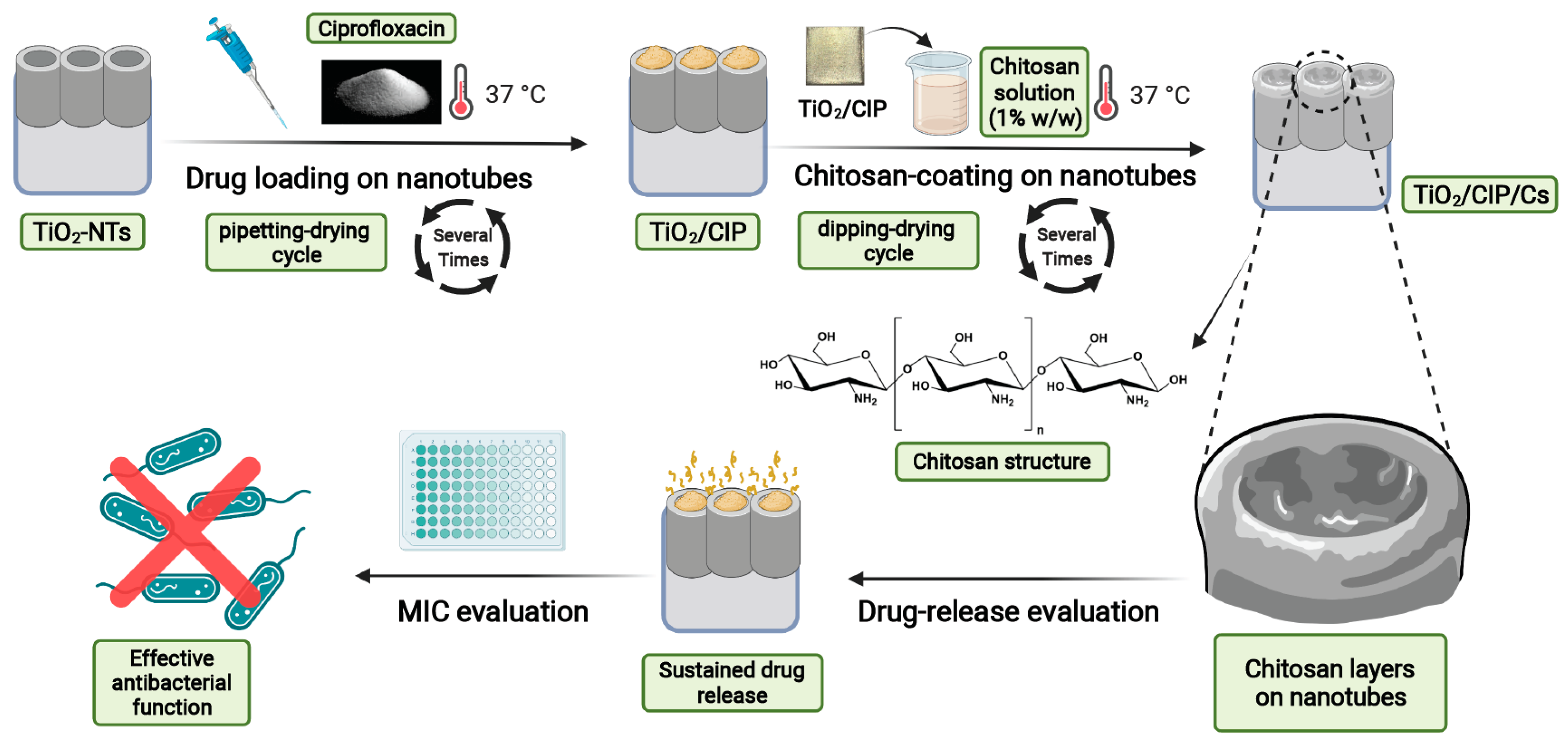 Pharmaceutics 14 01359 sch001