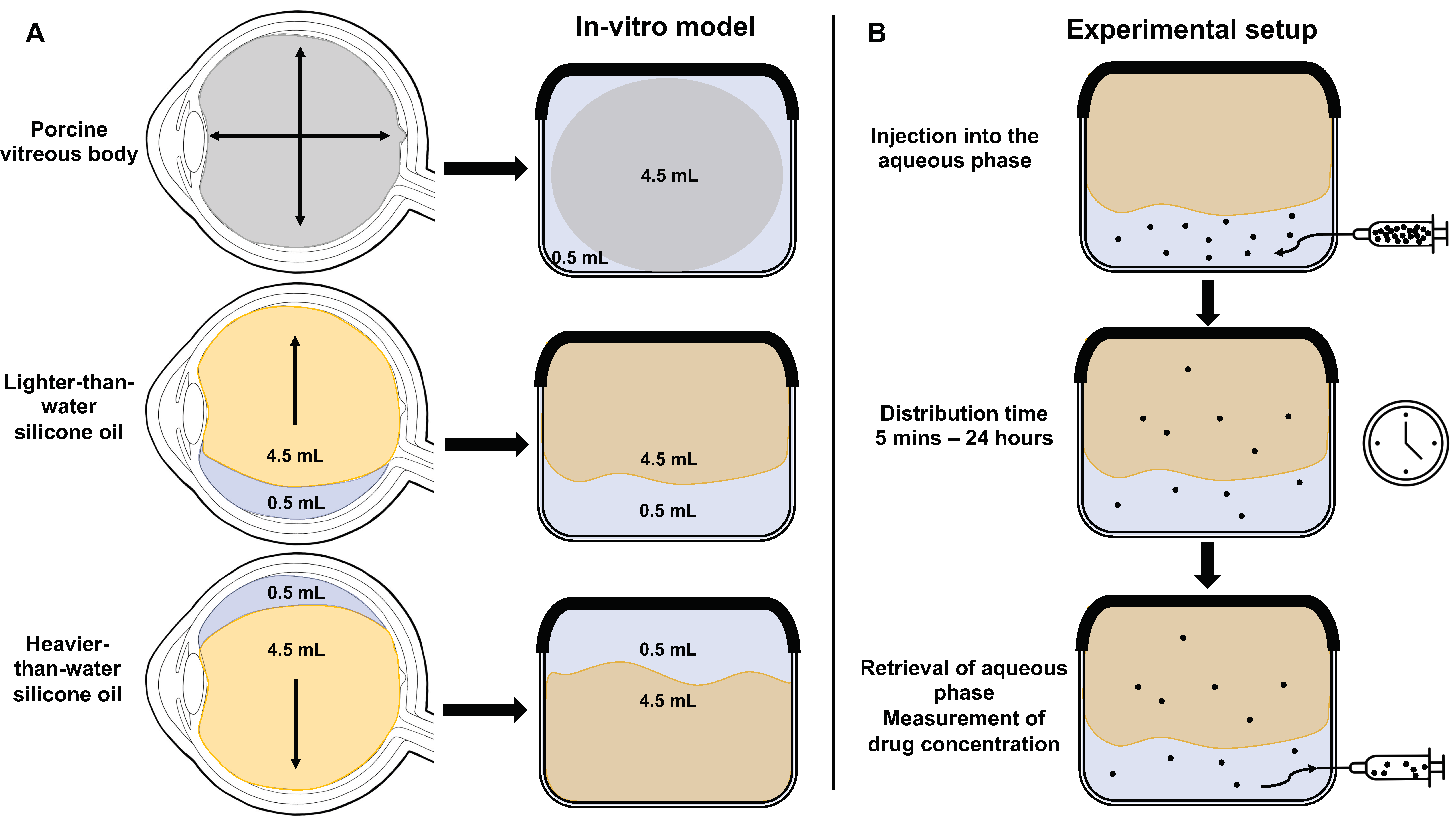 Pharmaceutics 14 01364 g001